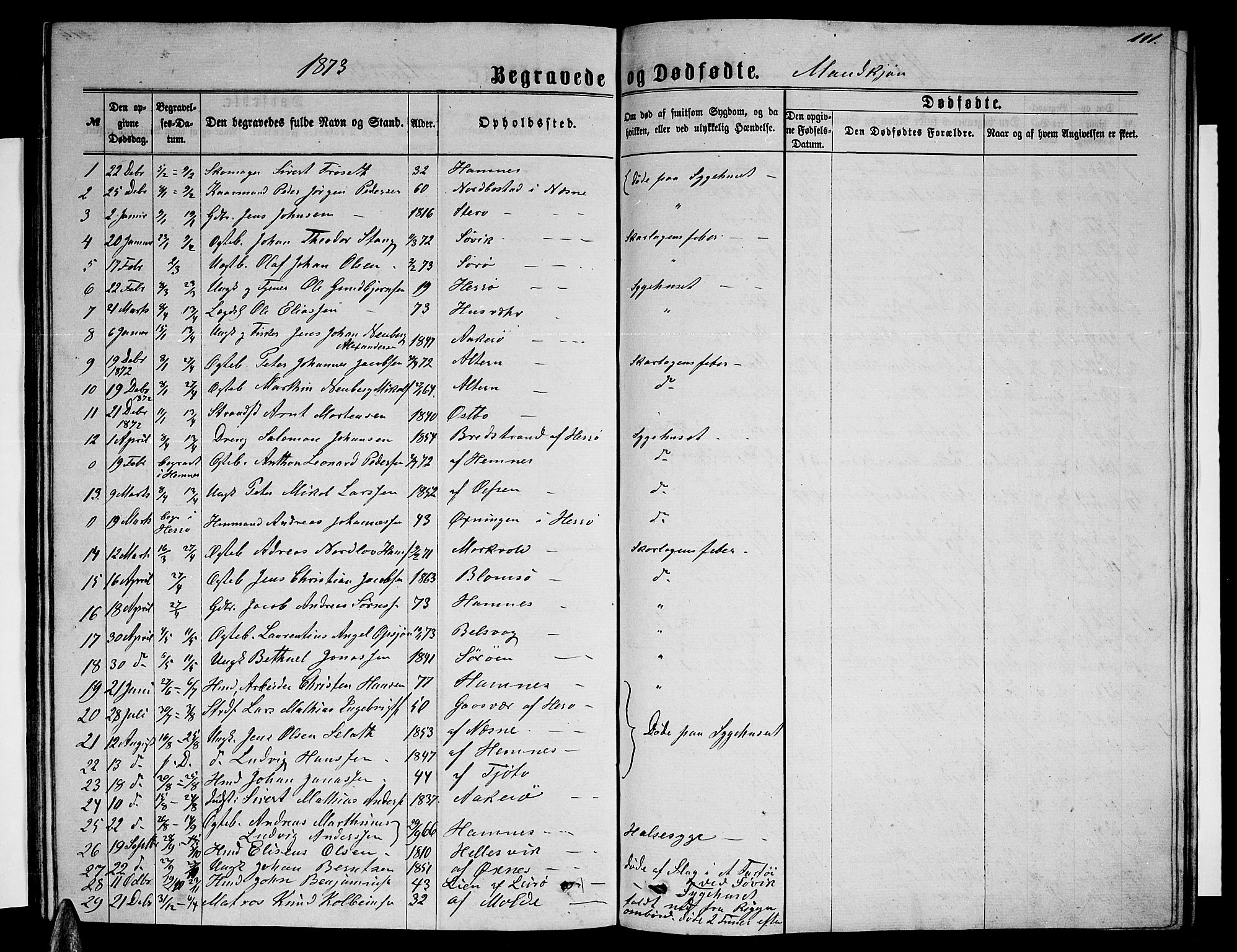 Ministerialprotokoller, klokkerbøker og fødselsregistre - Nordland, SAT/A-1459/830/L0461: Parish register (copy) no. 830C03, 1866-1881, p. 111