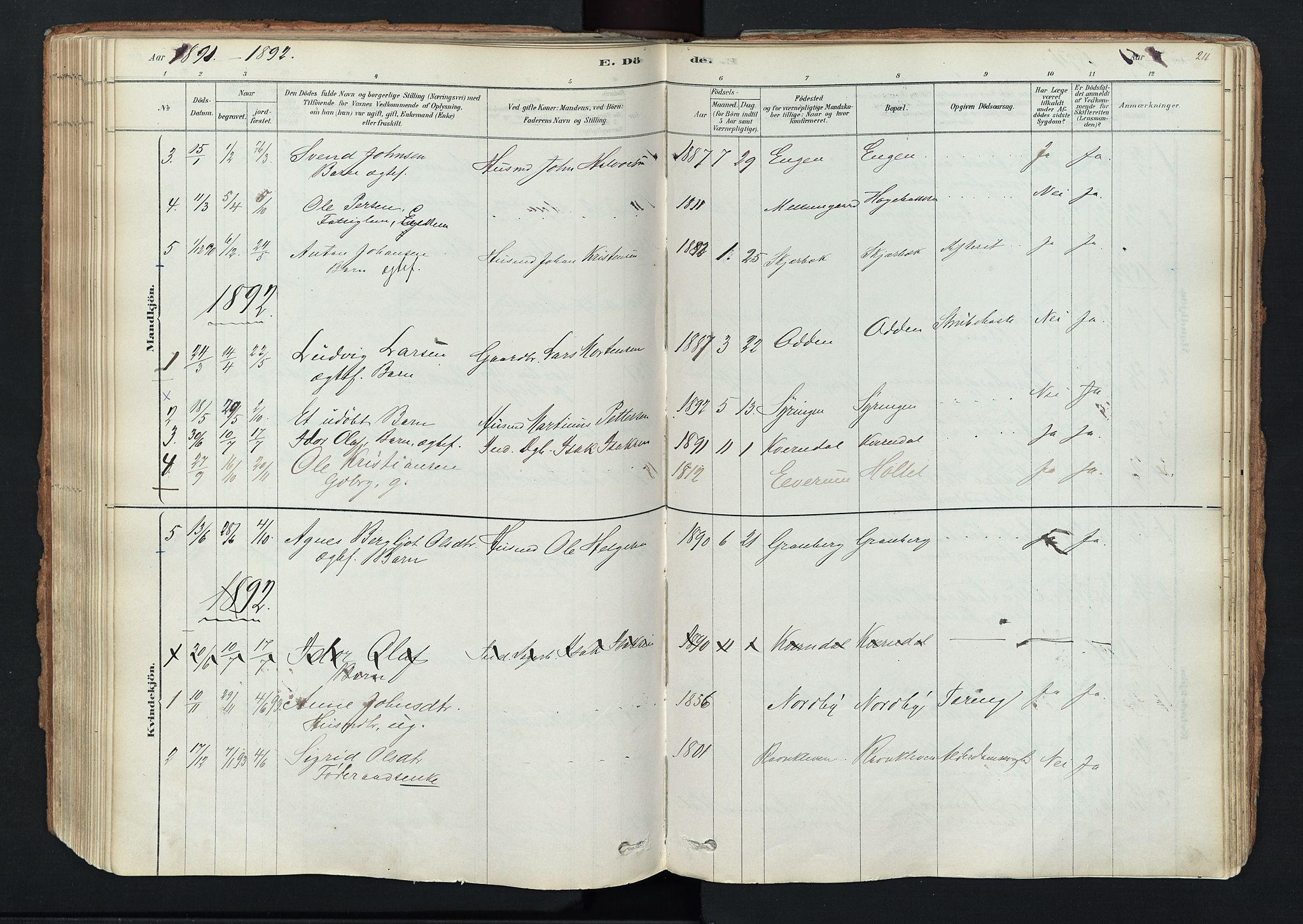 Trysil prestekontor, SAH/PREST-046/H/Ha/Haa/L0011: Parish register (official) no. 11, 1878-1912, p. 211