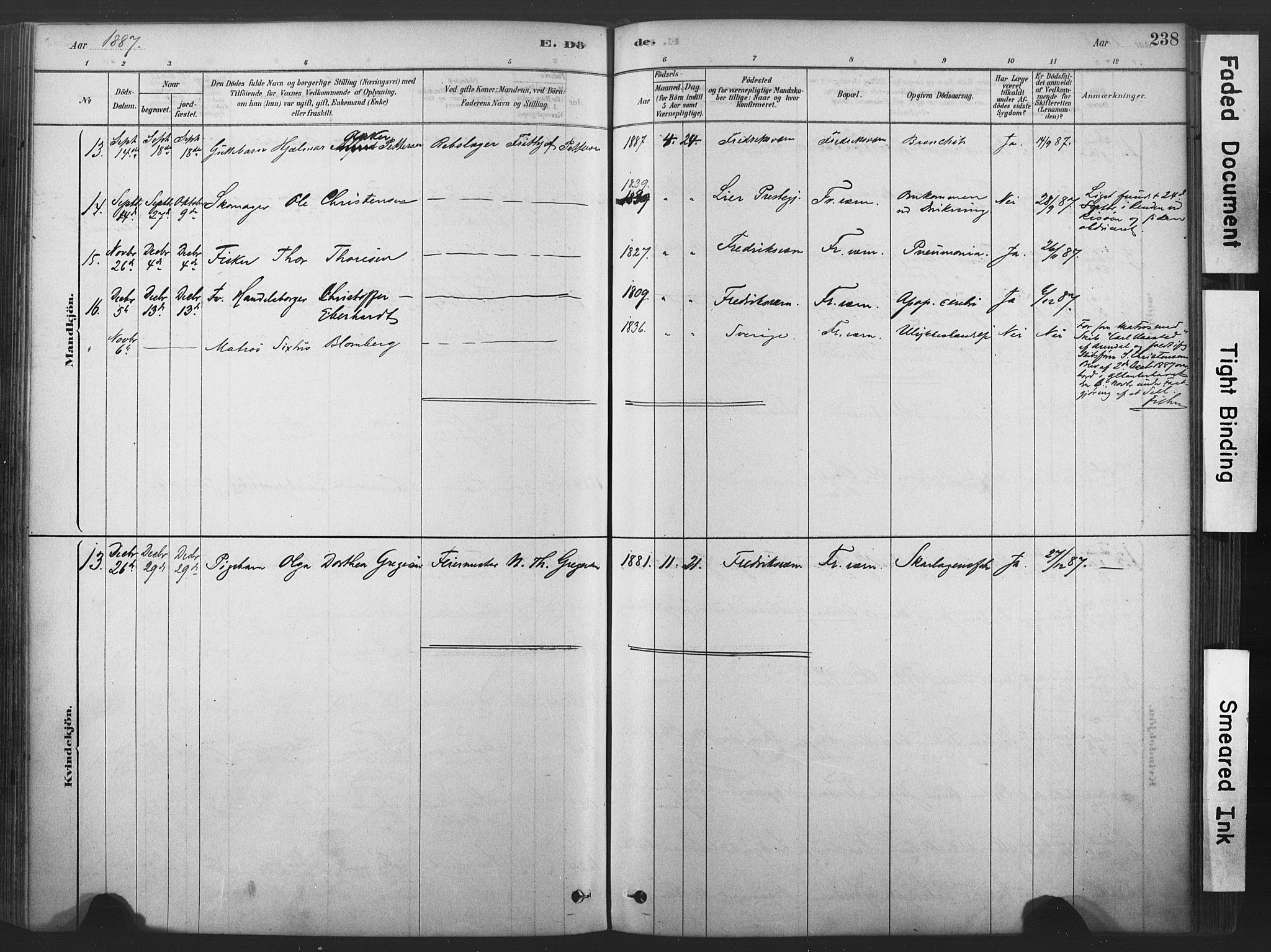 Stavern kirkebøker, AV/SAKO-A-318/F/Fa/L0008: Parish register (official) no. 8, 1878-1905, p. 238