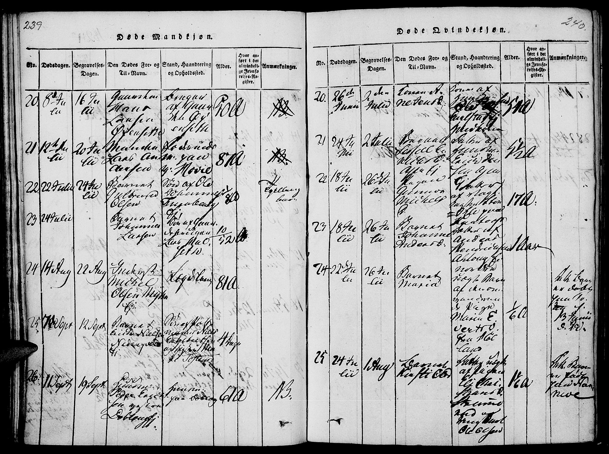 Vang prestekontor, Hedmark, AV/SAH-PREST-008/H/Ha/Haa/L0008: Parish register (official) no. 8, 1815-1826, p. 239-240