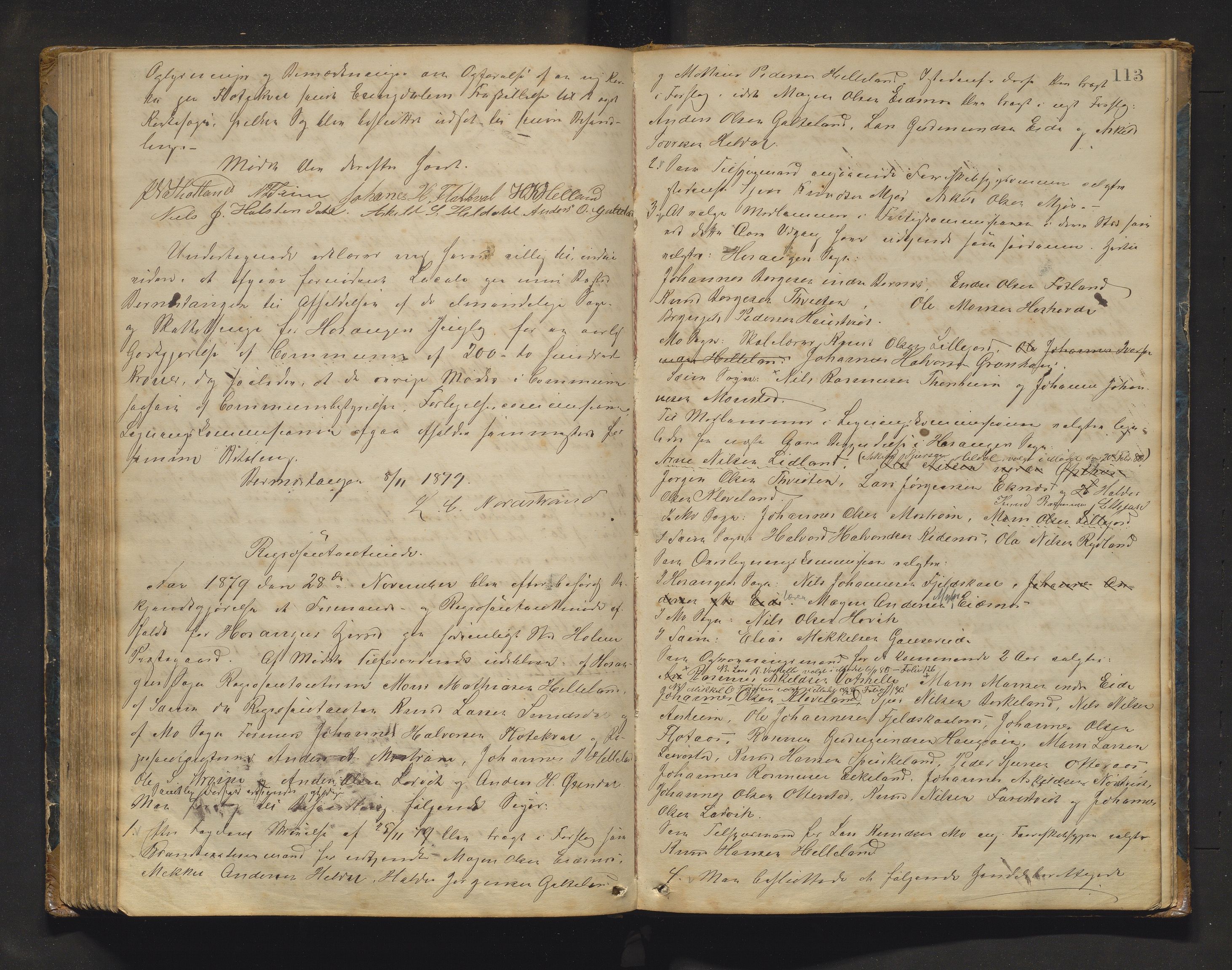 Hosanger kommune. Formannskapet, IKAH/1253a-021/A/Aa/L0002: Møtebok for Hosanger formannskap, heradsstyre og Seim soknestyre, 1867-1881, p. 113