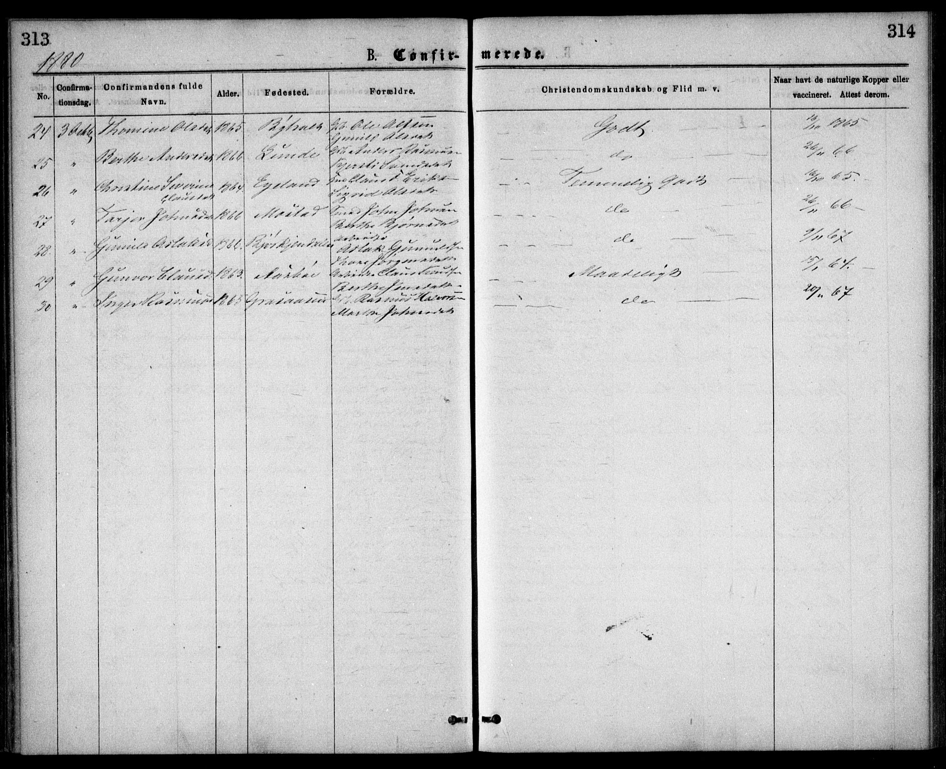 Gjerstad sokneprestkontor, AV/SAK-1111-0014/F/Fa/Faa/L0008: Parish register (official) no. A 8, 1876-1884, p. 313-314