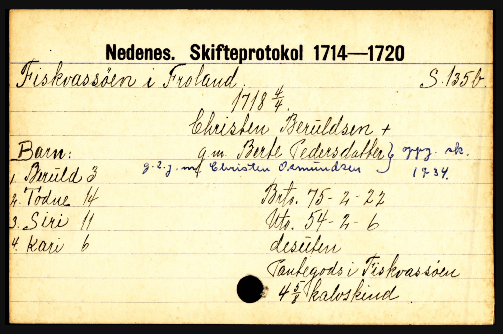 Nedenes sorenskriveri før 1824, AV/SAK-1221-0007/H, p. 6707