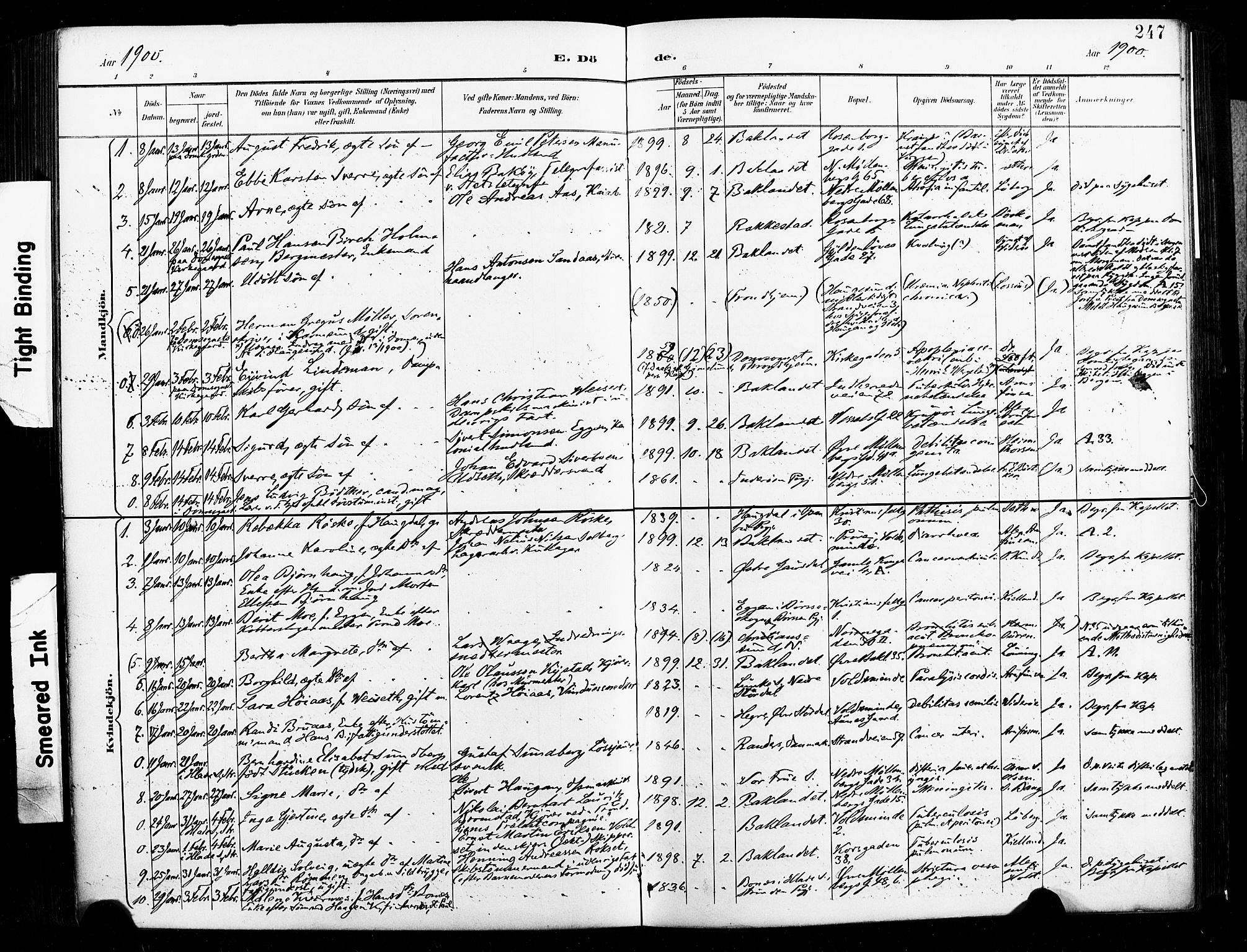 Ministerialprotokoller, klokkerbøker og fødselsregistre - Sør-Trøndelag, SAT/A-1456/604/L0198: Parish register (official) no. 604A19, 1893-1900, p. 247
