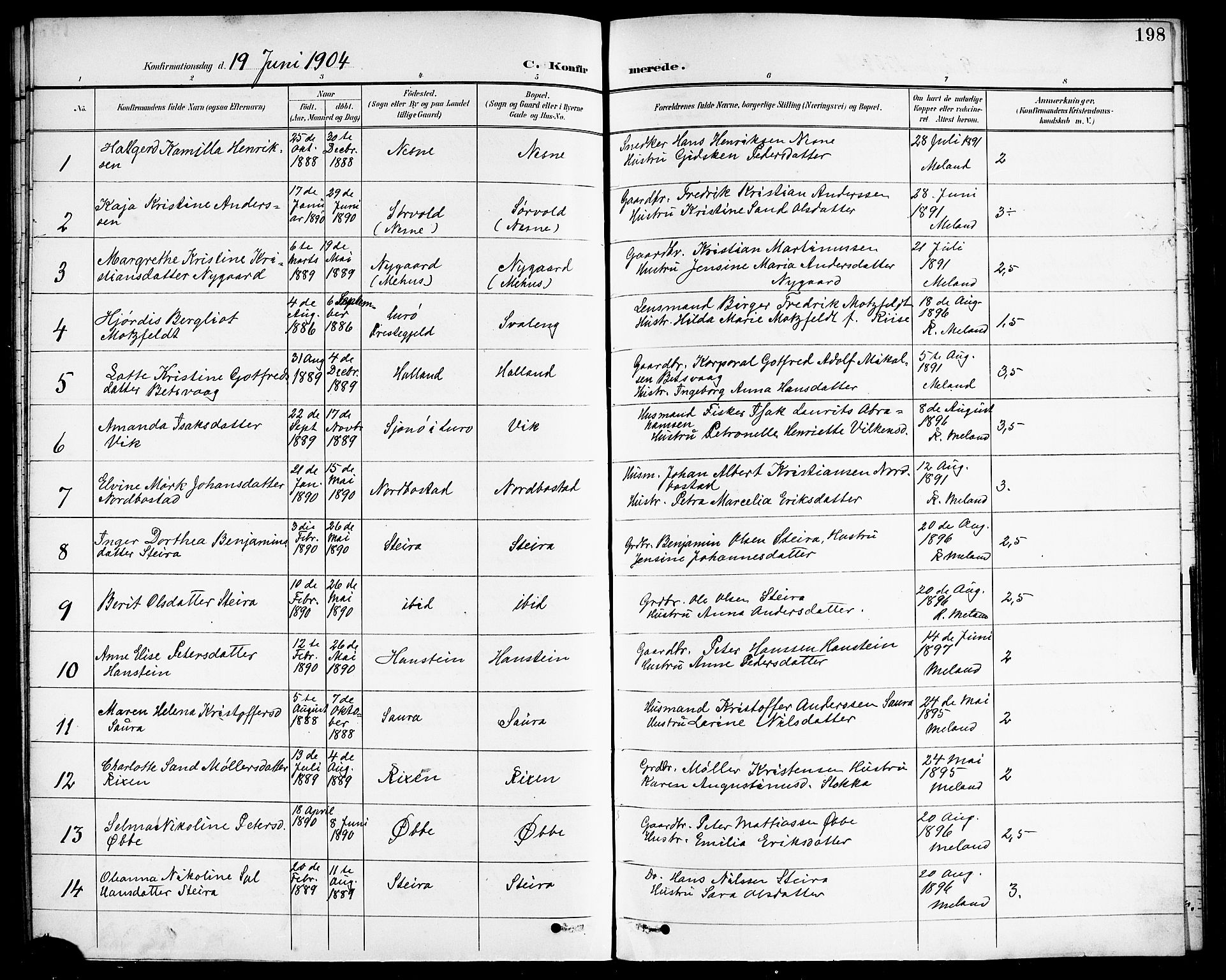 Ministerialprotokoller, klokkerbøker og fødselsregistre - Nordland, AV/SAT-A-1459/838/L0559: Parish register (copy) no. 838C06, 1893-1910, p. 198