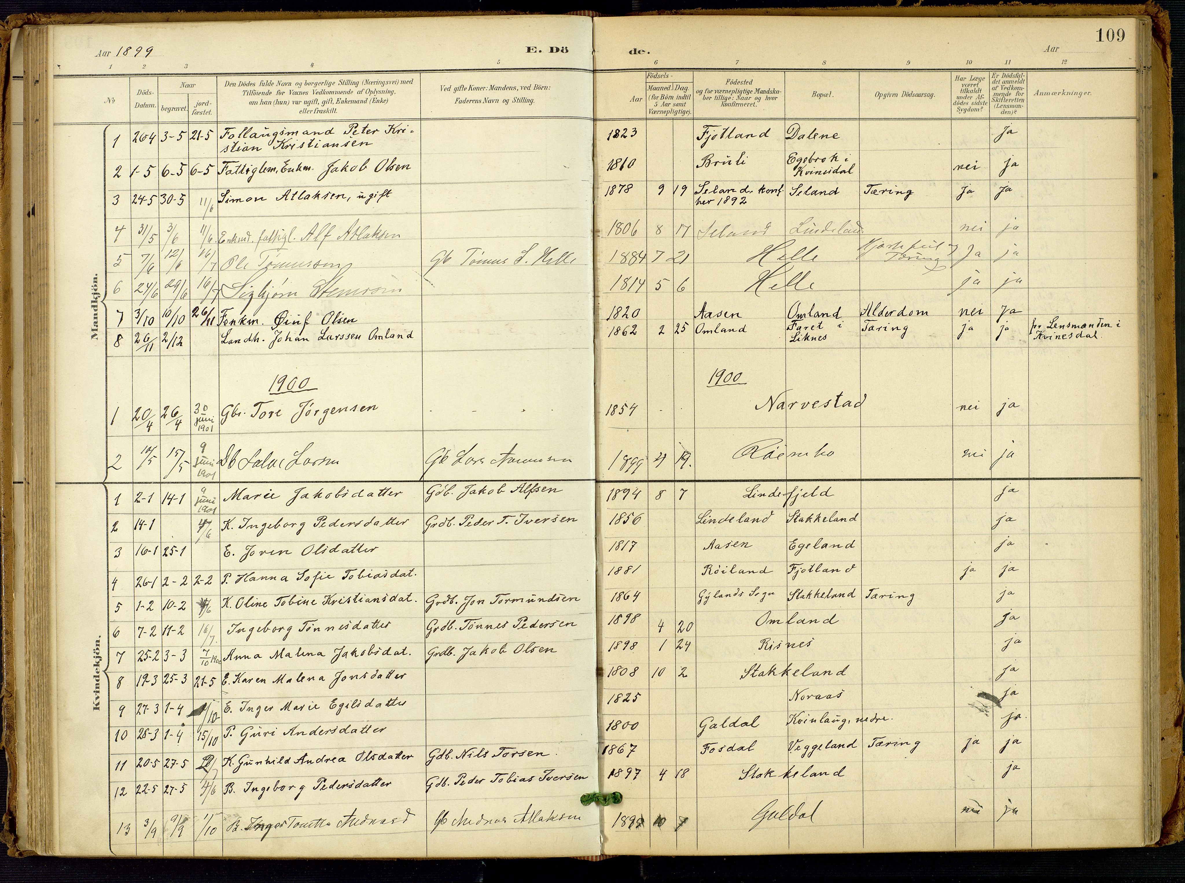 Fjotland sokneprestkontor, SAK/1111-0010/F/Fa/L0003: Parish register (official) no. A 3, 1899-1917, p. 109