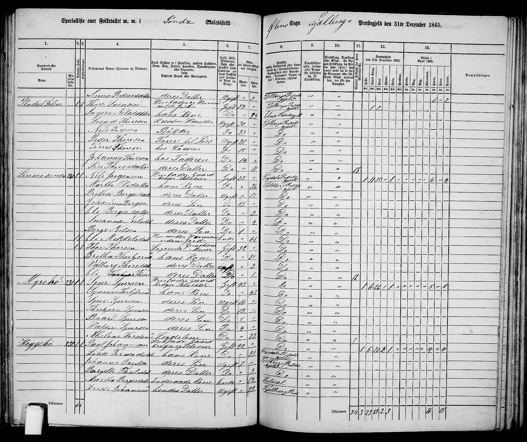 RA, 1865 census for Fjelberg, 1865, p. 132