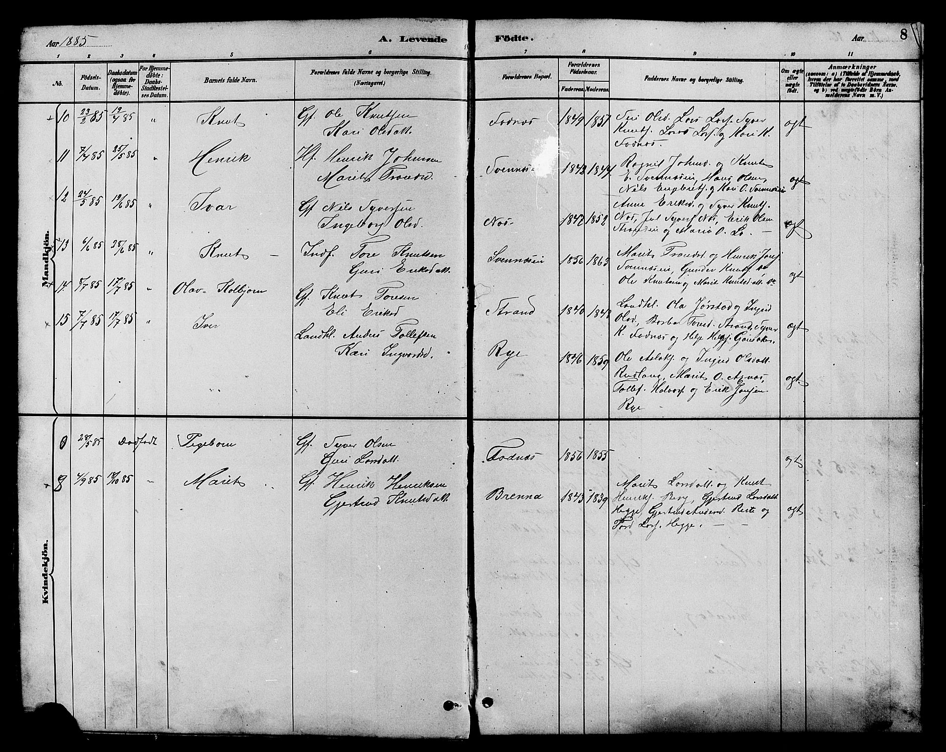Nord-Aurdal prestekontor, SAH/PREST-132/H/Ha/Hab/L0007: Parish register (copy) no. 7, 1883-1910, p. 8