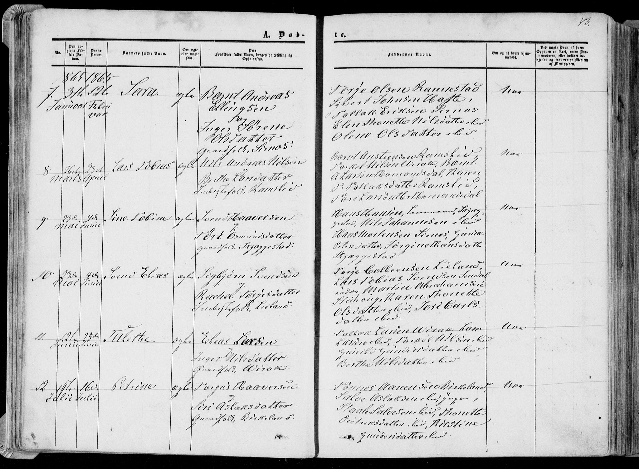 Bakke sokneprestkontor, AV/SAK-1111-0002/F/Fa/Faa/L0006: Parish register (official) no. A 6, 1855-1877, p. 73