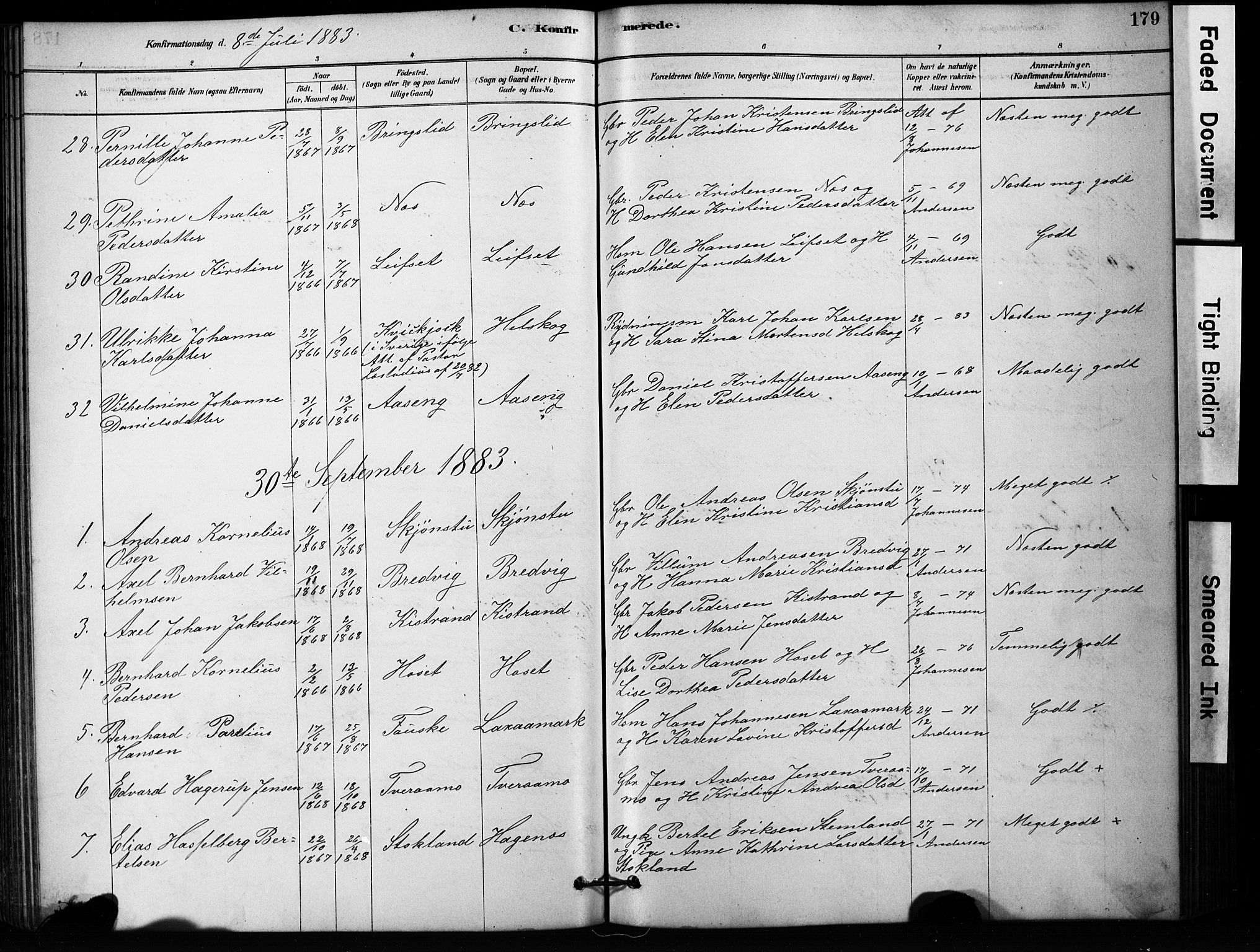 Ministerialprotokoller, klokkerbøker og fødselsregistre - Nordland, SAT/A-1459/852/L0754: Parish register (copy) no. 852C05, 1878-1894, p. 179