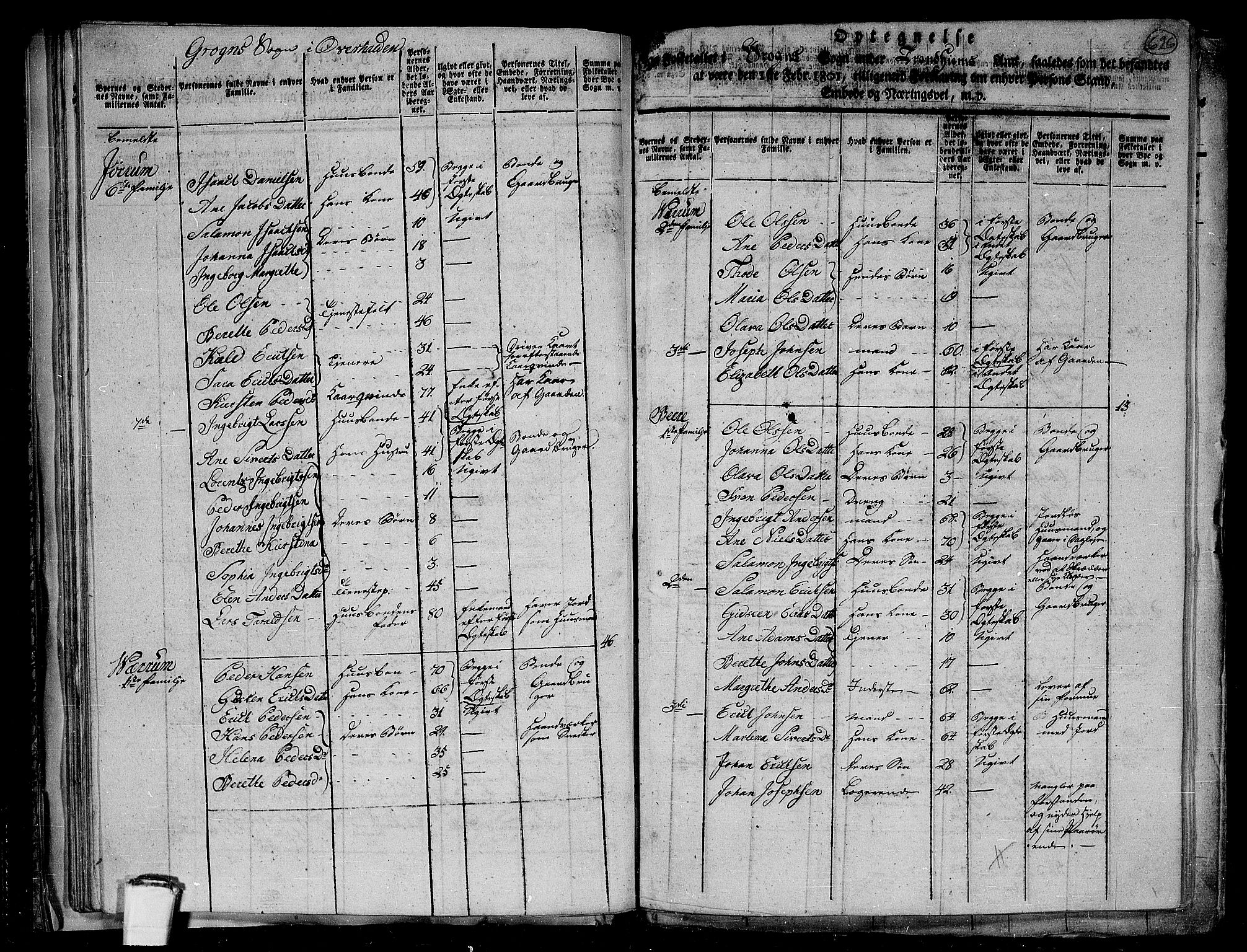 RA, 1801 census for 1744P Overhalla, 1801, p. 625b-626a