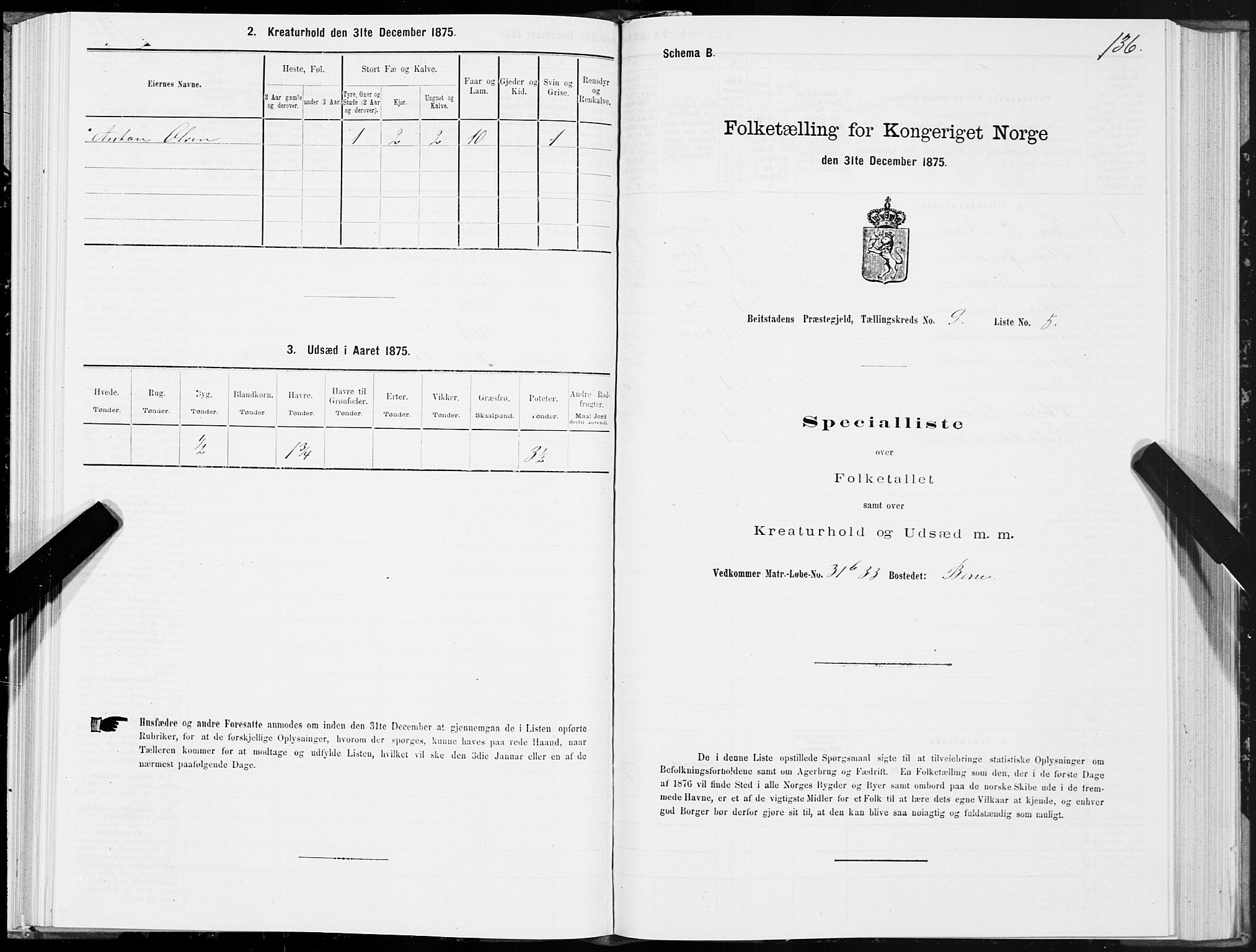 SAT, 1875 census for 1727P Beitstad, 1875, p. 6136