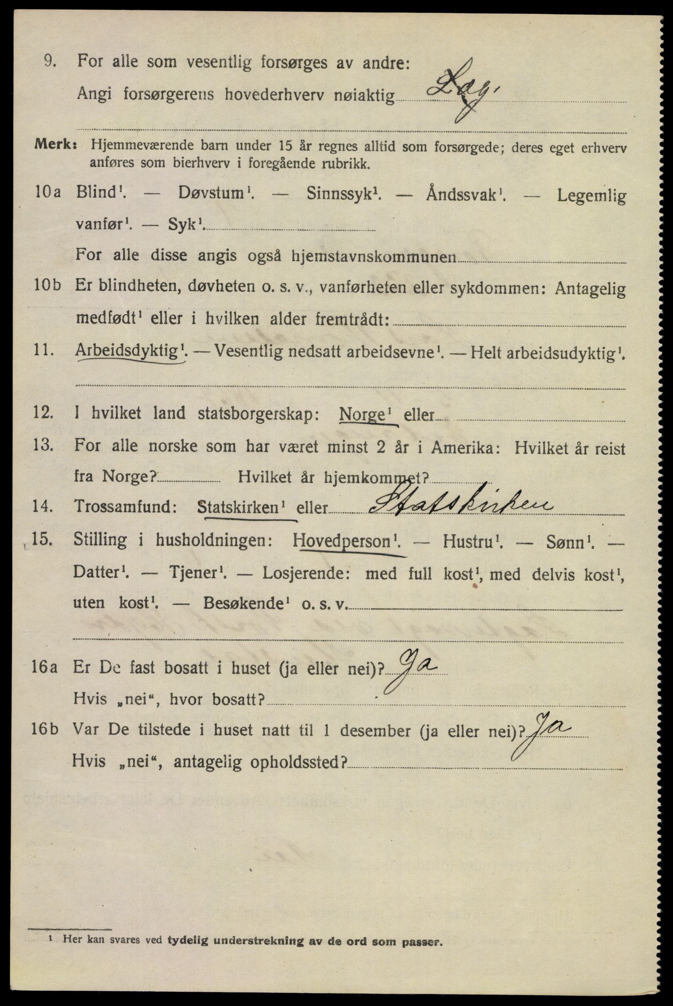 SAKO, 1920 census for Porsgrunn, 1920, p. 17364