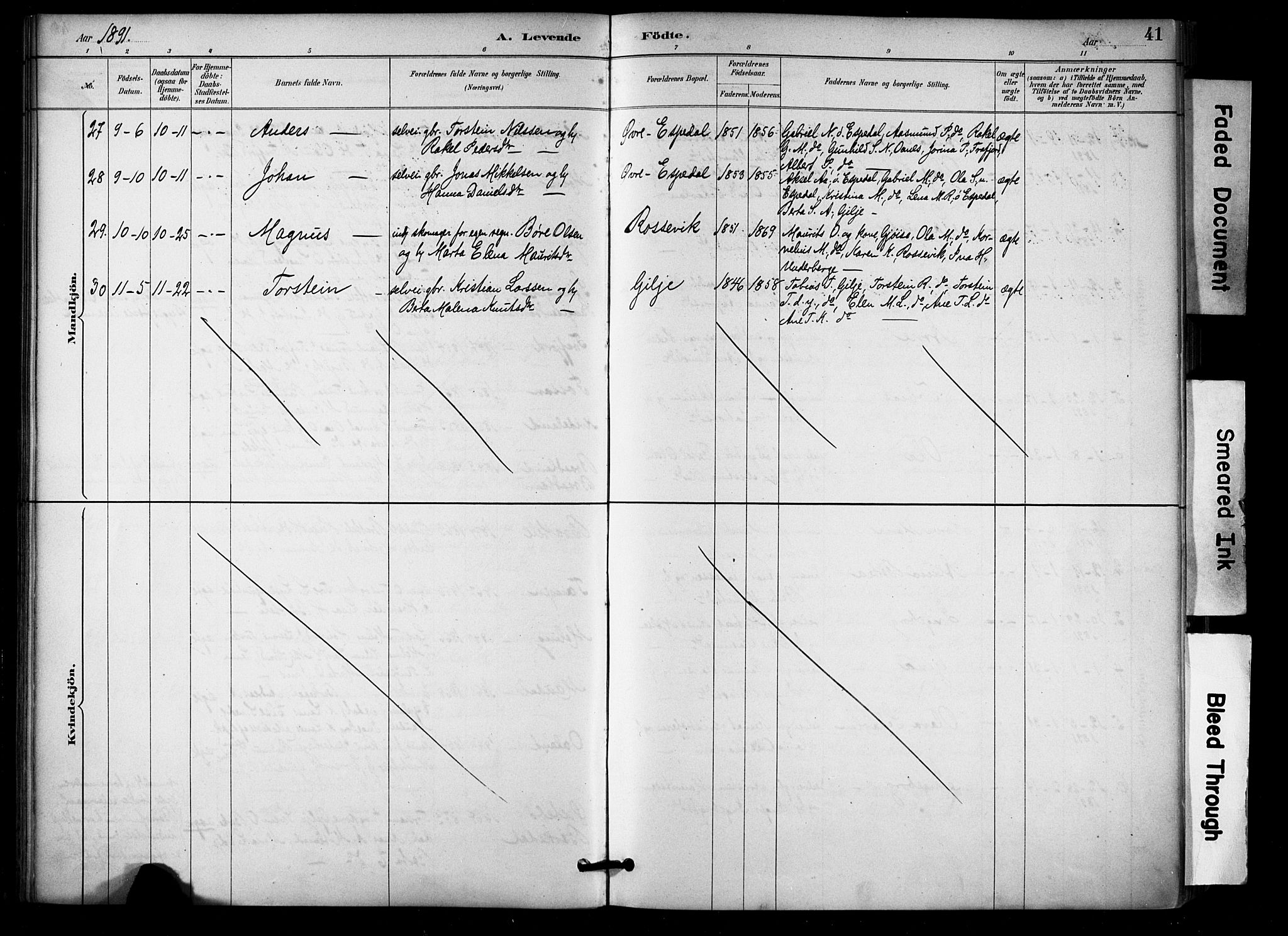 Høgsfjord sokneprestkontor, SAST/A-101624/H/Ha/Haa/L0006: Parish register (official) no. A 6, 1885-1897, p. 41