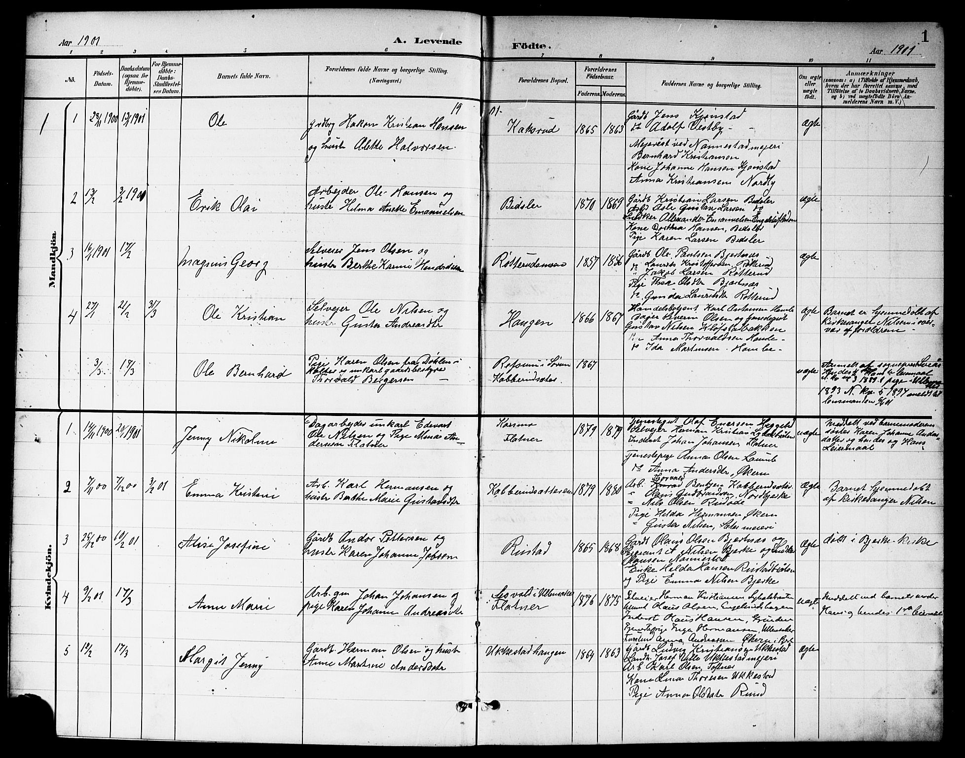Nannestad prestekontor Kirkebøker, SAO/A-10414a/G/Ga/L0002: Parish register (copy) no. I 2, 1901-1913, p. 1