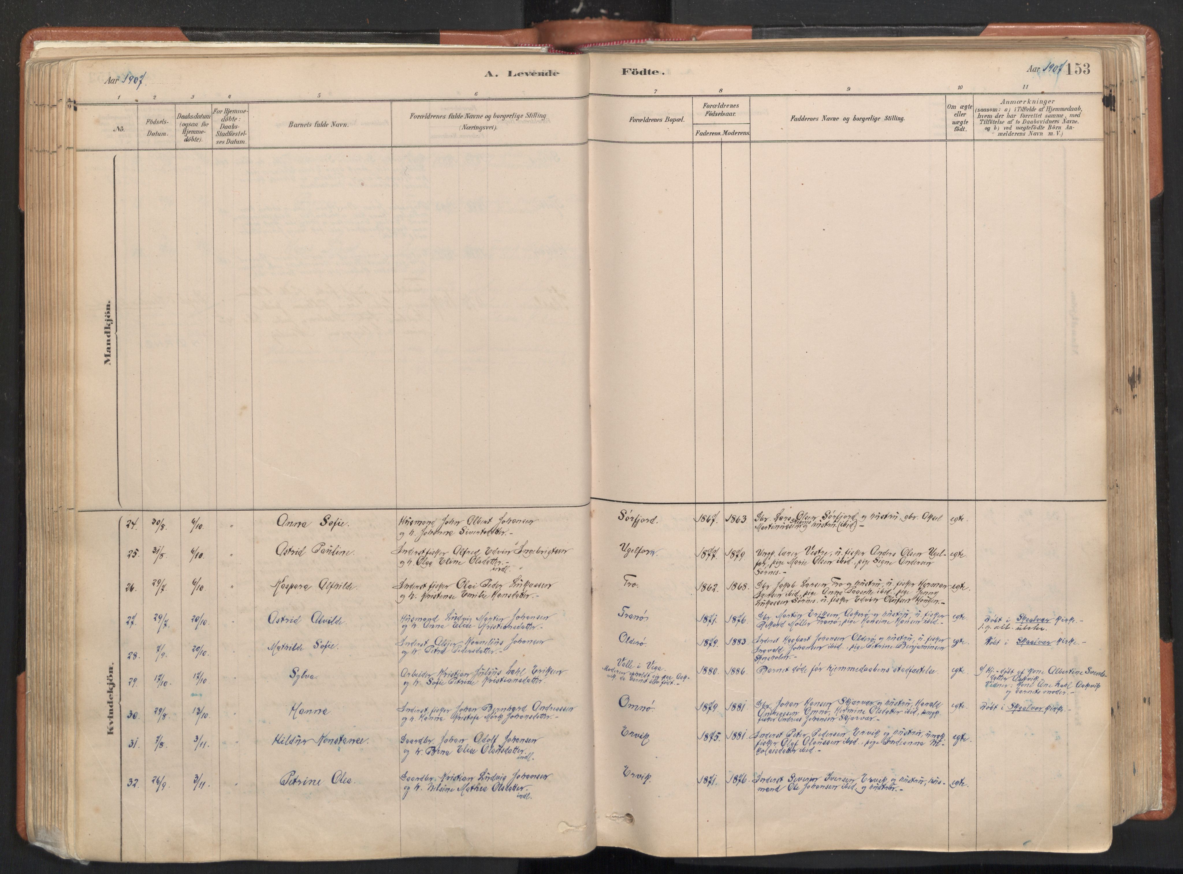 Ministerialprotokoller, klokkerbøker og fødselsregistre - Nordland, AV/SAT-A-1459/817/L0264: Parish register (official) no. 817A04, 1878-1907, p. 153