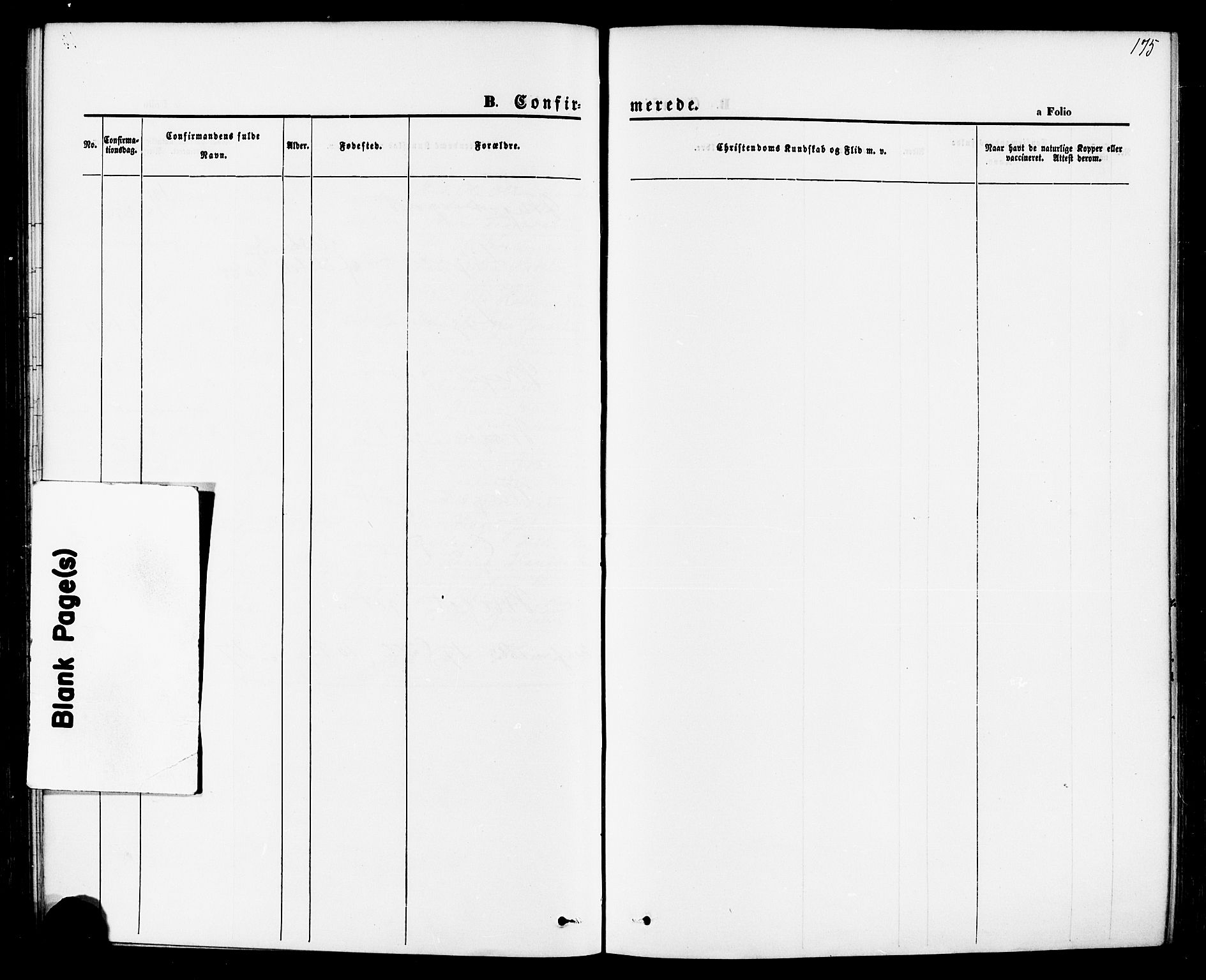 Jelsa sokneprestkontor, AV/SAST-A-101842/01/IV: Parish register (official) no. A 8, 1867-1883, p. 175