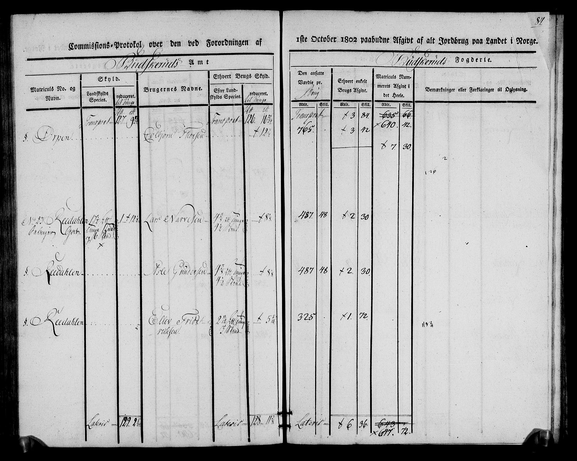 Rentekammeret inntil 1814, Realistisk ordnet avdeling, AV/RA-EA-4070/N/Ne/Nea/L0060: Buskerud fogderi. Kommisjonsprotokoll for Sigdal prestegjeld, 1803, p. 84