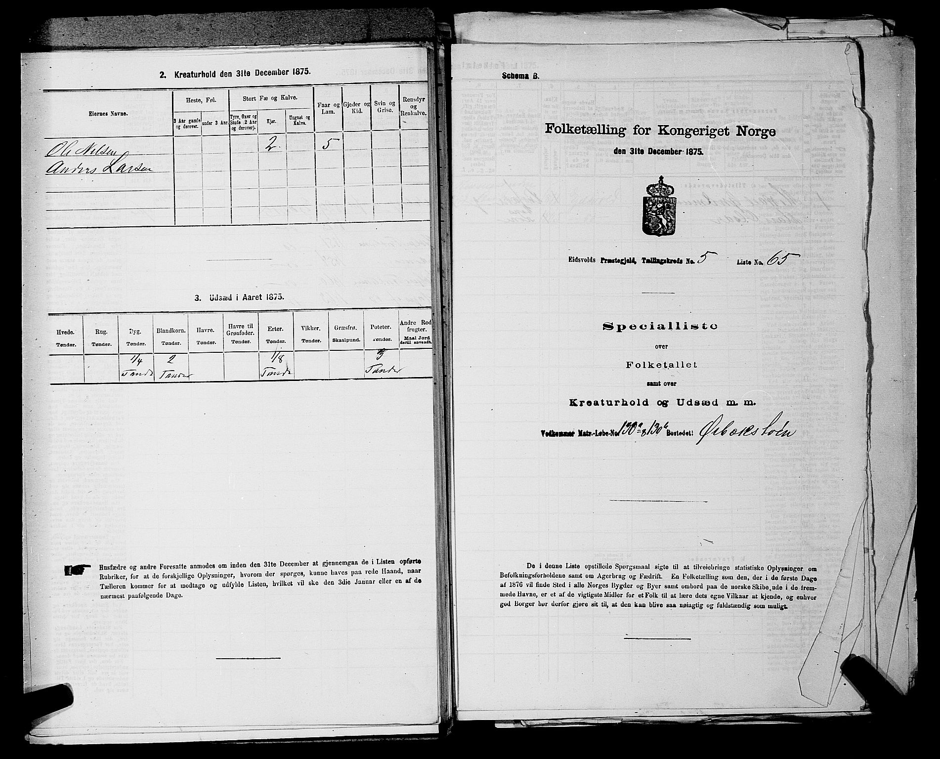 RA, 1875 census for 0237P Eidsvoll, 1875, p. 809
