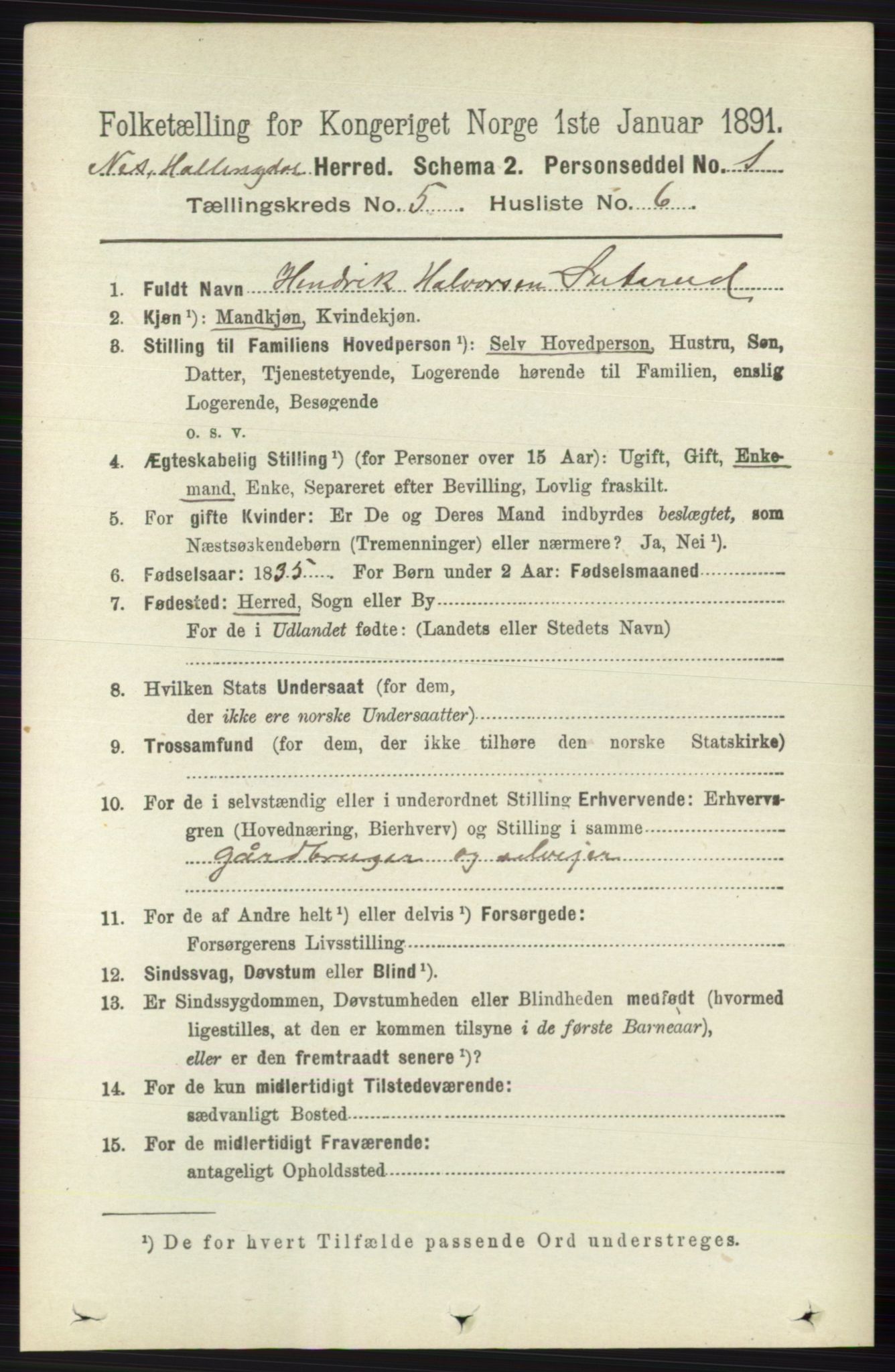 RA, 1891 census for 0616 Nes, 1891, p. 2658