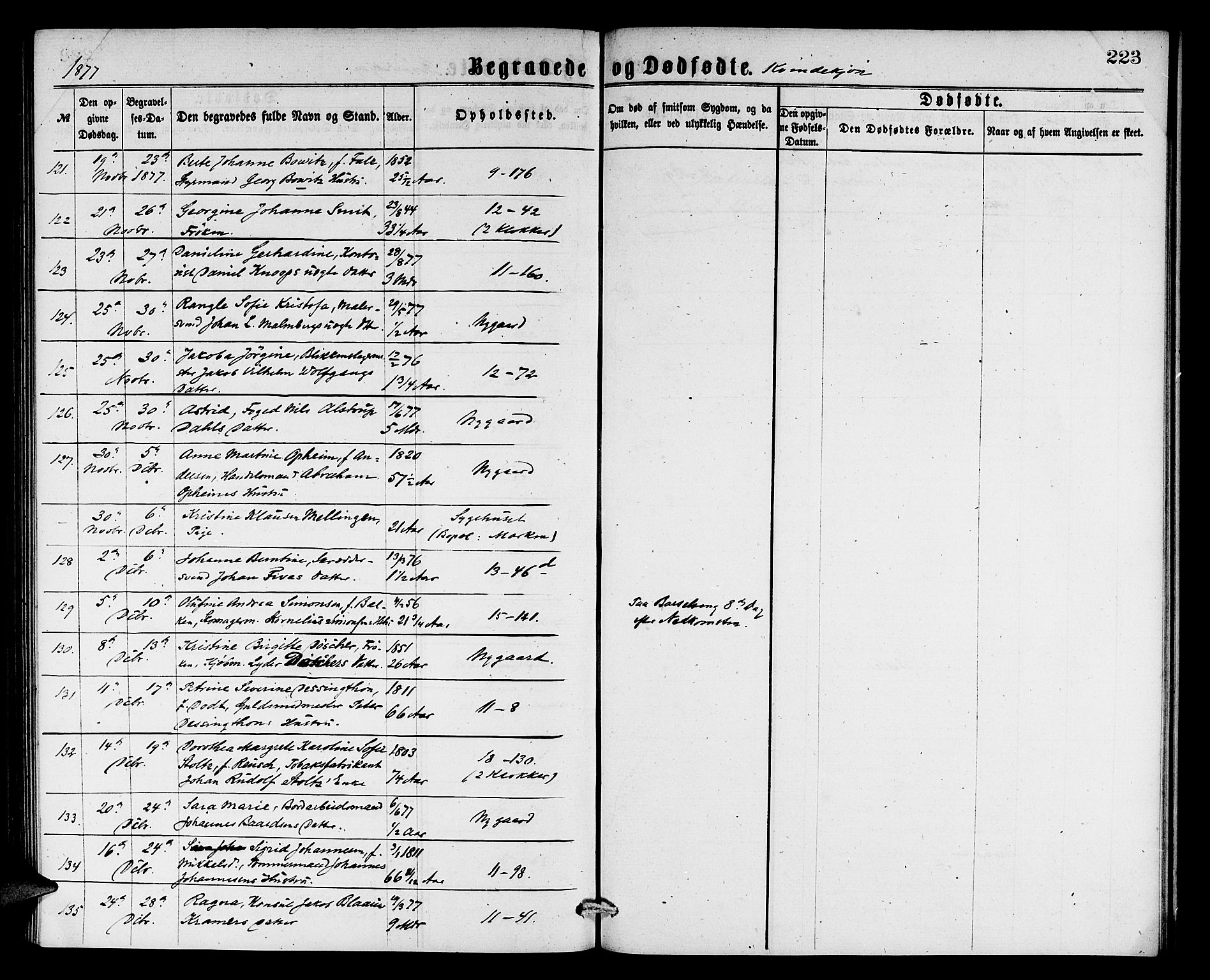 Domkirken sokneprestembete, AV/SAB-A-74801/H/Hab/L0040: Parish register (copy) no. E 4, 1868-1877, p. 223