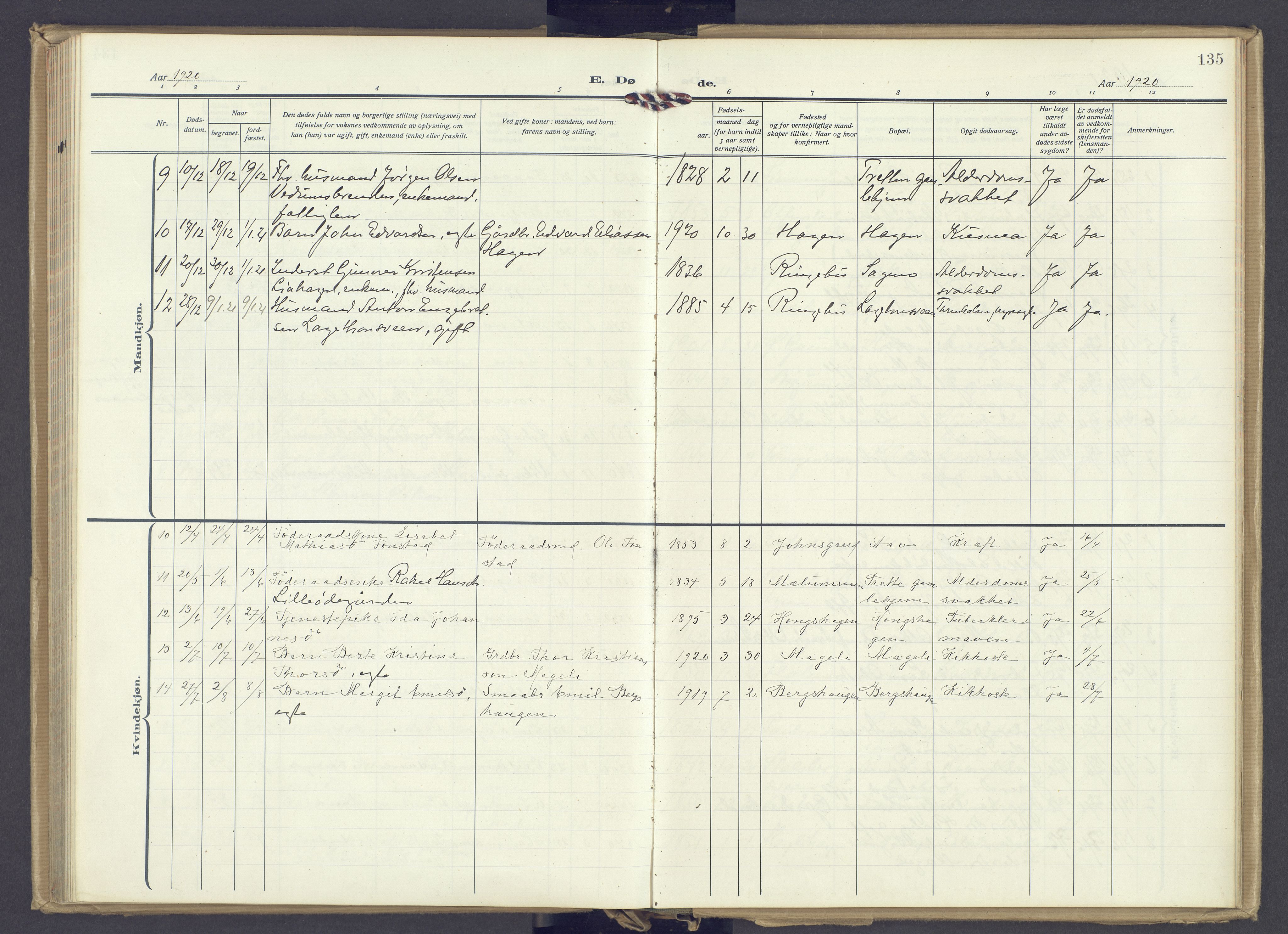 Øyer prestekontor, AV/SAH-PREST-084/H/Ha/Haa/L0014: Parish register (official) no. 14, 1919-1932, p. 135