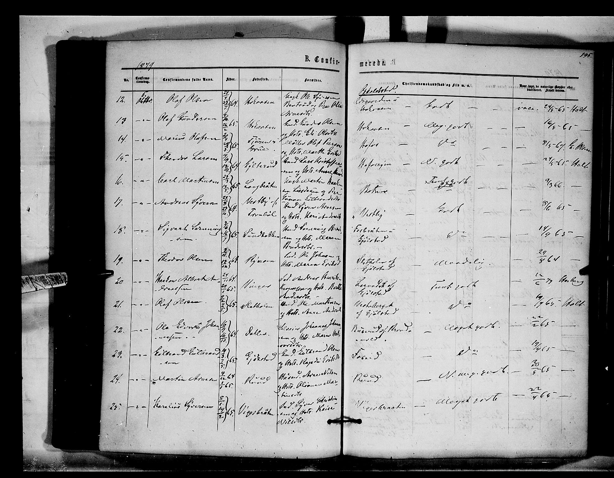 Brandval prestekontor, AV/SAH-PREST-034/H/Ha/Haa/L0001: Parish register (official) no. 1, 1864-1879, p. 195