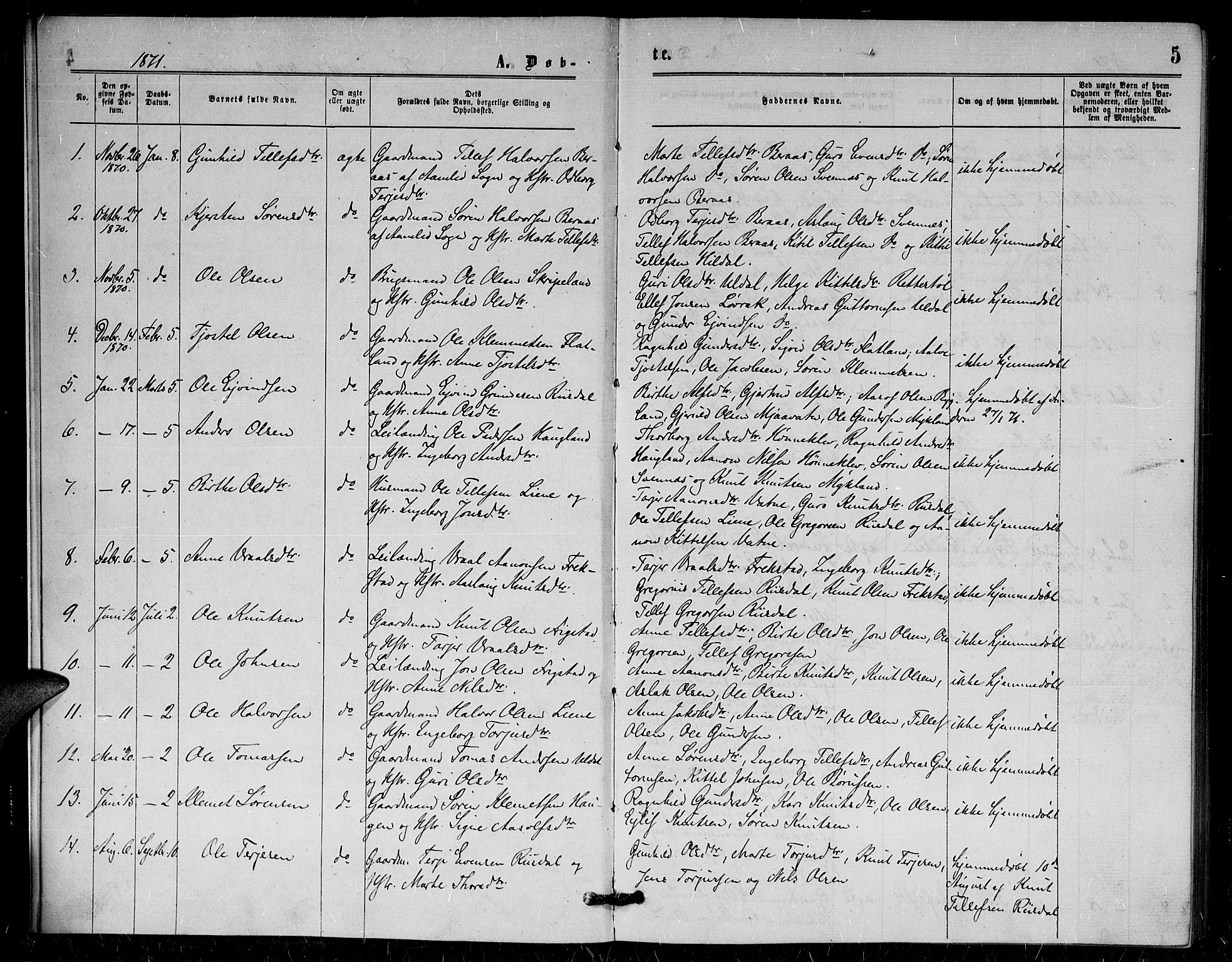 Herefoss sokneprestkontor, SAK/1111-0019/F/Fa/Fac/L0001: Parish register (official) no. A 1, 1871-1886, p. 5