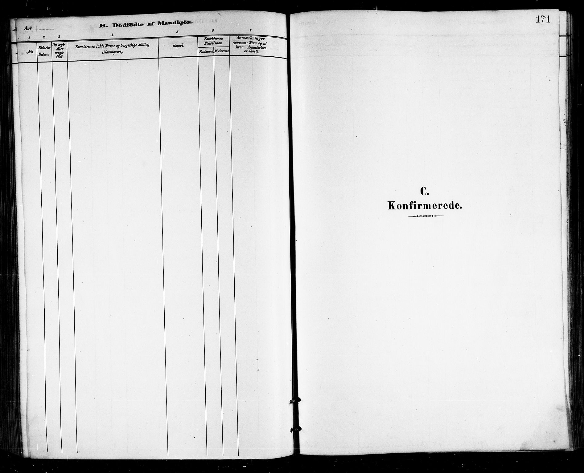 Ministerialprotokoller, klokkerbøker og fødselsregistre - Nordland, SAT/A-1459/812/L0188: Parish register (copy) no. 812C06, 1884-1912, p. 171
