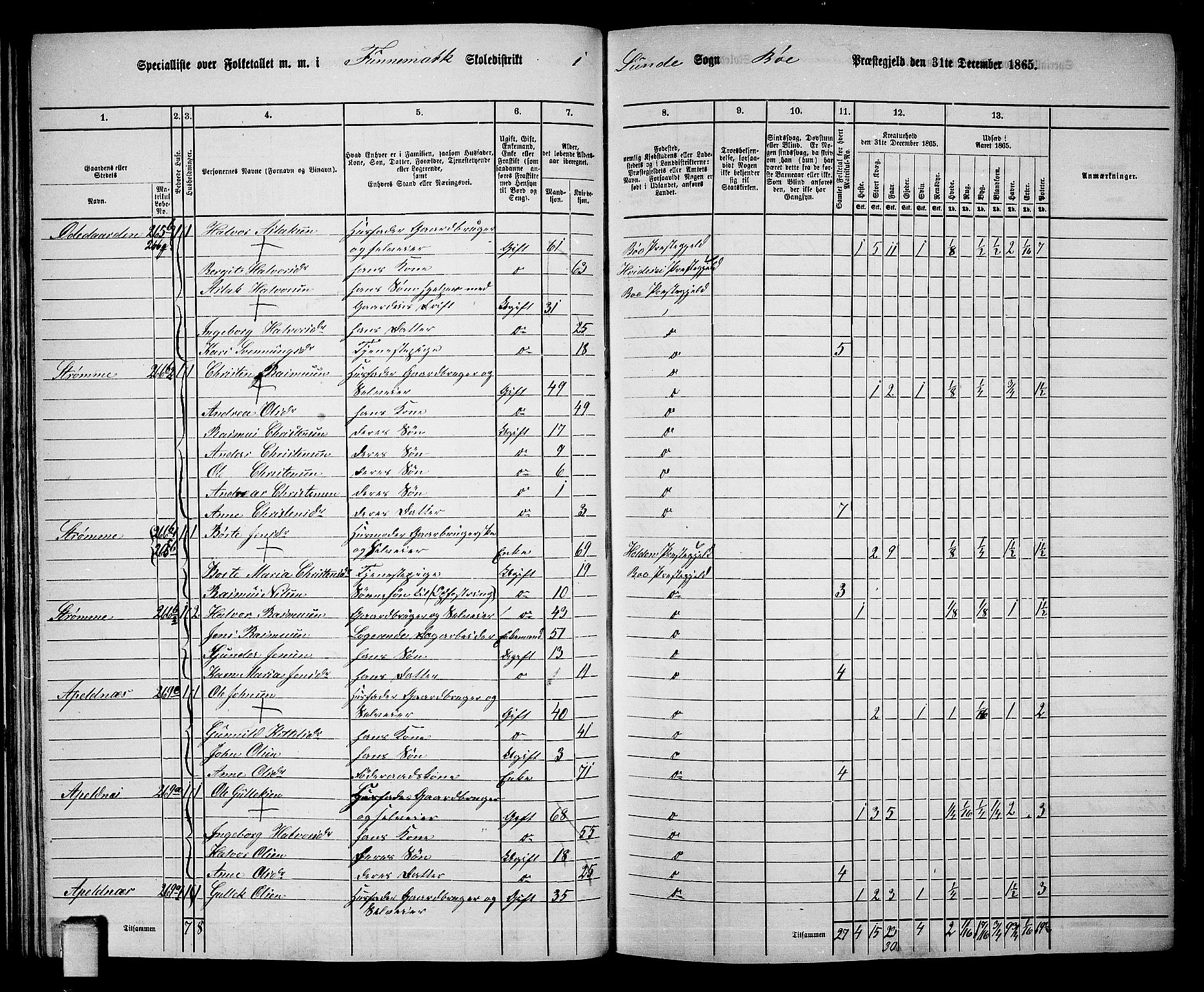 RA, 1865 census for Bø, 1865, p. 37