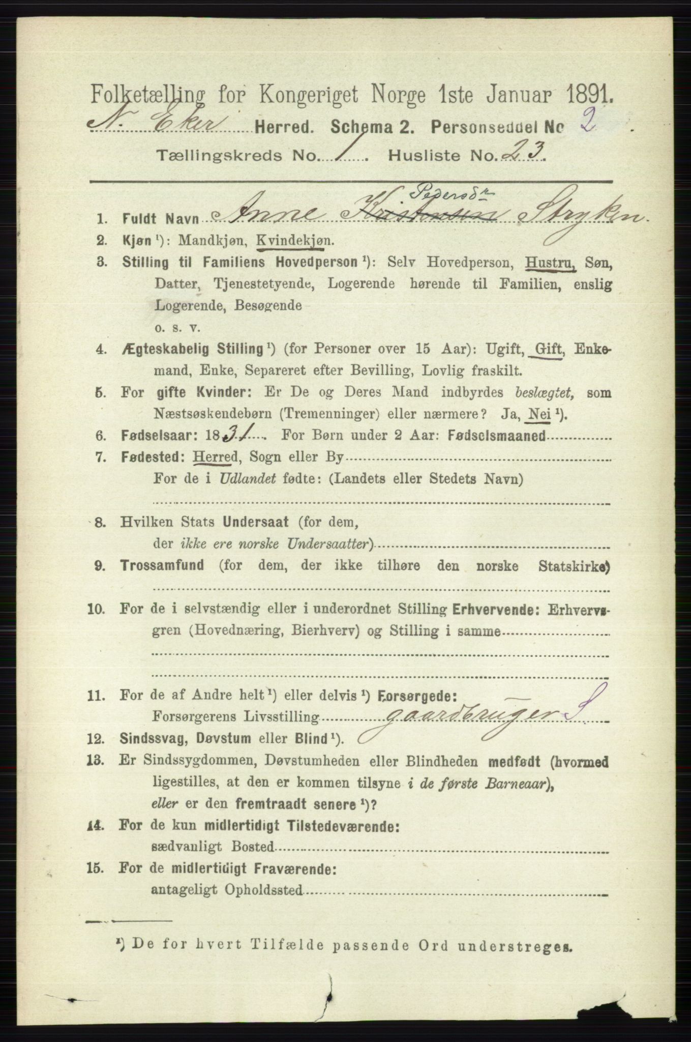 RA, 1891 census for 0625 Nedre Eiker, 1891, p. 203