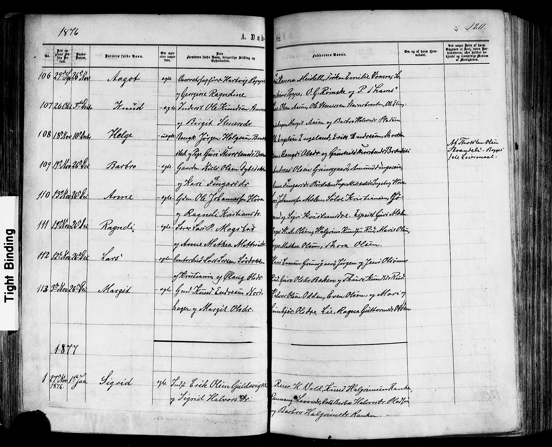 Nes kirkebøker, SAKO/A-236/F/Fa/L0010: Parish register (official) no. 10, 1864-1880, p. 120