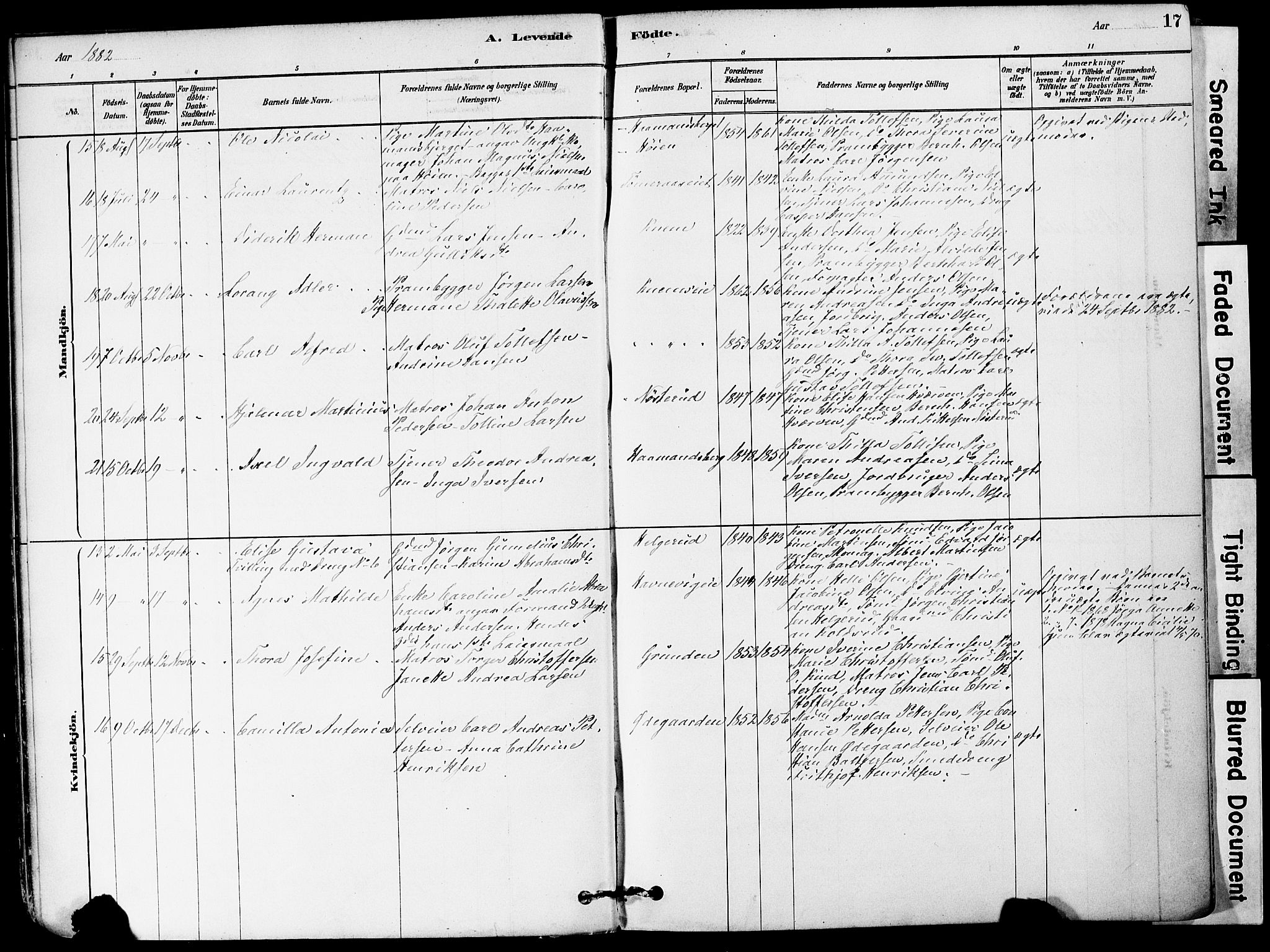 Strømm kirkebøker, SAKO/A-322/F/Fa/L0004: Parish register (official) no. I 4, 1878-1899, p. 17