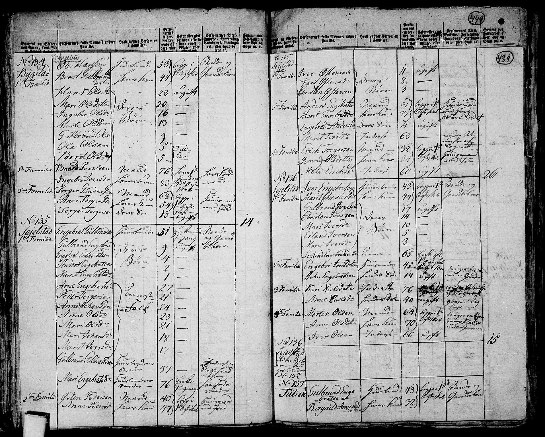 RA, 1801 census for 0520P Ringebu, 1801, p. 438b-439a