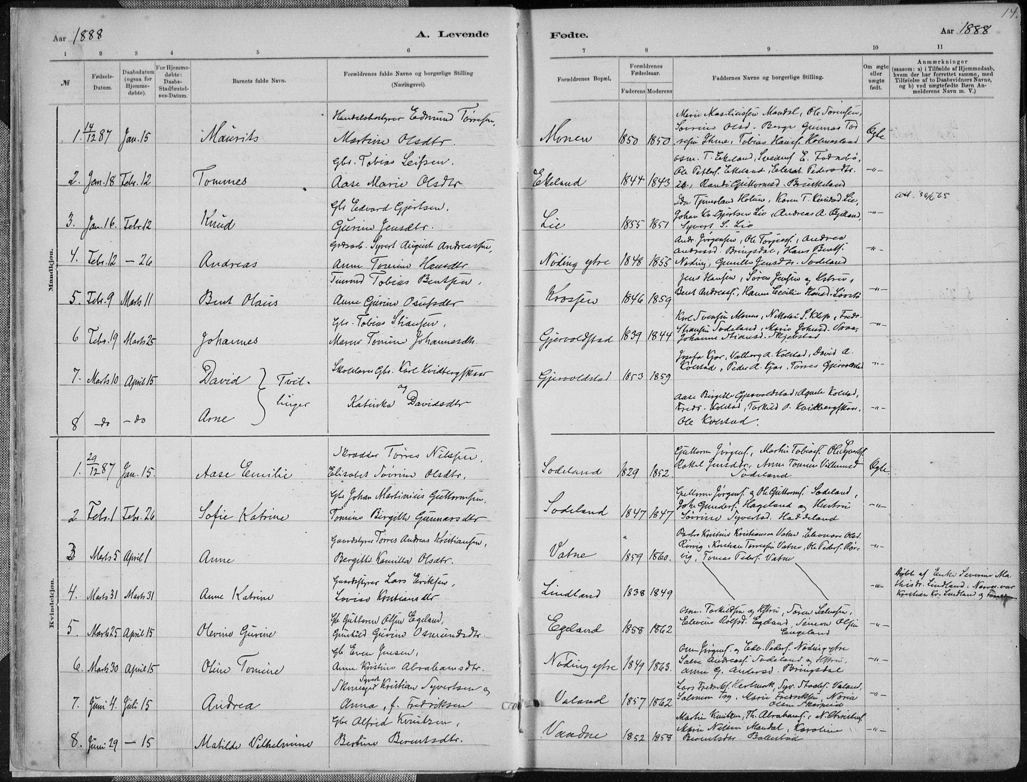Holum sokneprestkontor, SAK/1111-0022/F/Fa/Faa/L0007: Parish register (official) no. A 7, 1884-1907, p. 14