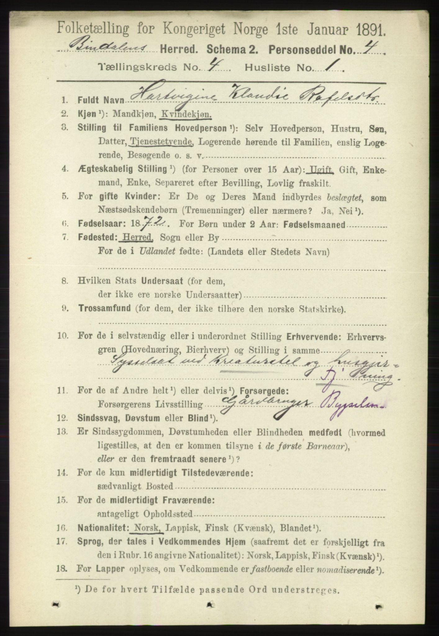 RA, 1891 census for 1811 Bindal, 1891, p. 1038