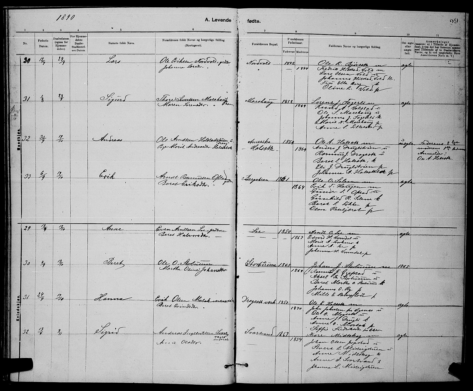 Ministerialprotokoller, klokkerbøker og fødselsregistre - Sør-Trøndelag, AV/SAT-A-1456/672/L0863: Parish register (copy) no. 672C02, 1888-1901, p. 29