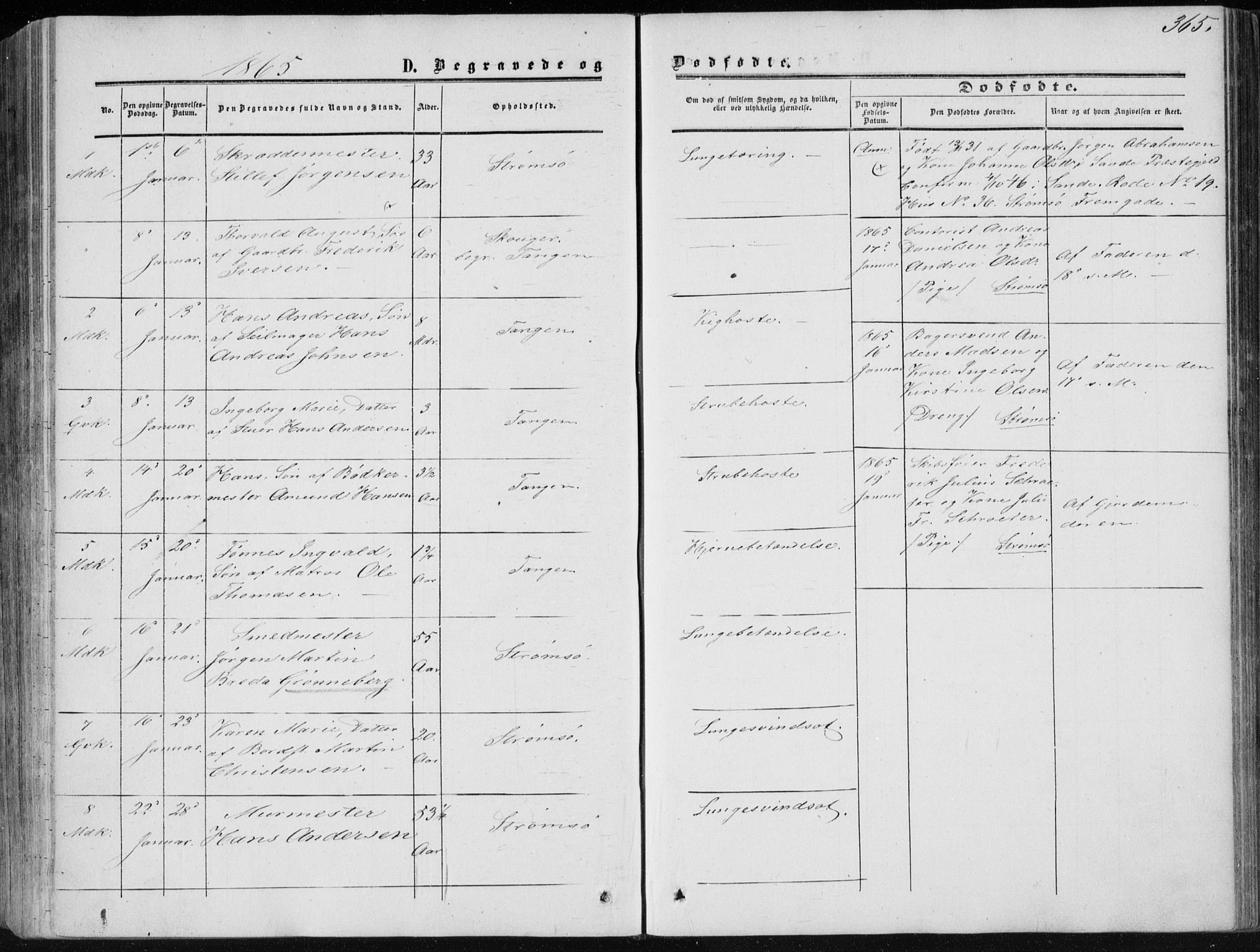 Strømsø kirkebøker, SAKO/A-246/F/Fa/L0015: Parish register (official) no. I 15, 1859-1868, p. 365