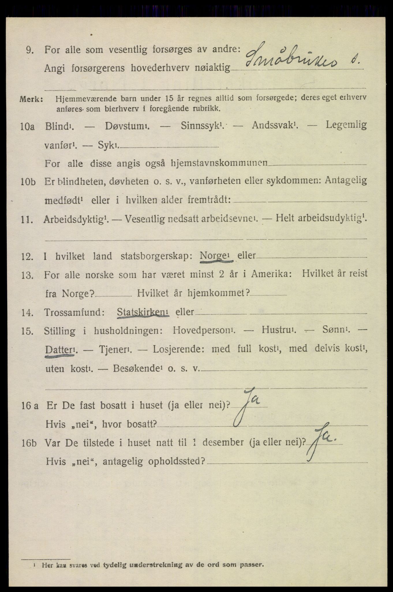 SAH, 1920 census for Trysil, 1920, p. 10176