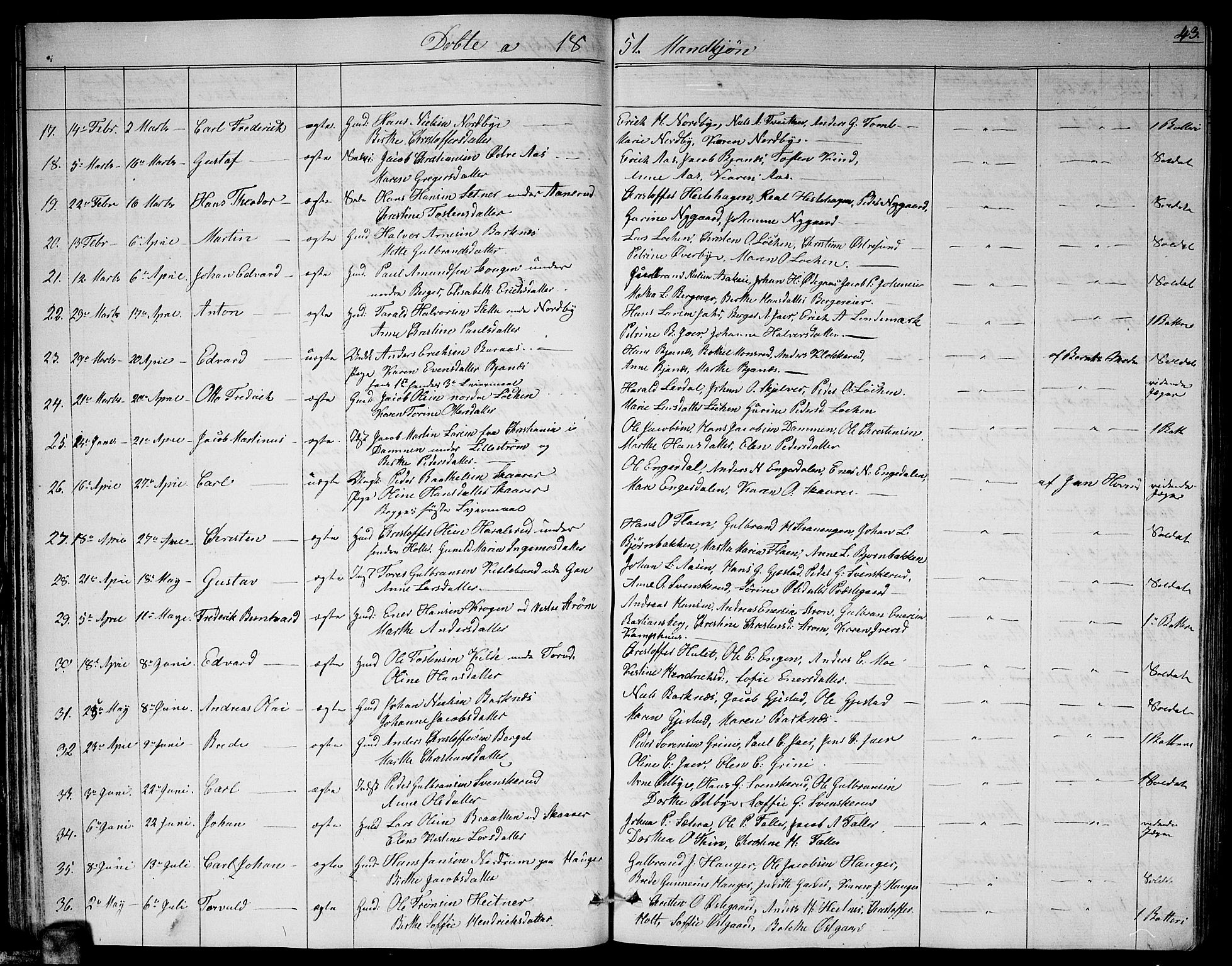 Fet prestekontor Kirkebøker, SAO/A-10370a/G/Ga/L0002: Parish register (copy) no. I 2, 1843-1859, p. 43