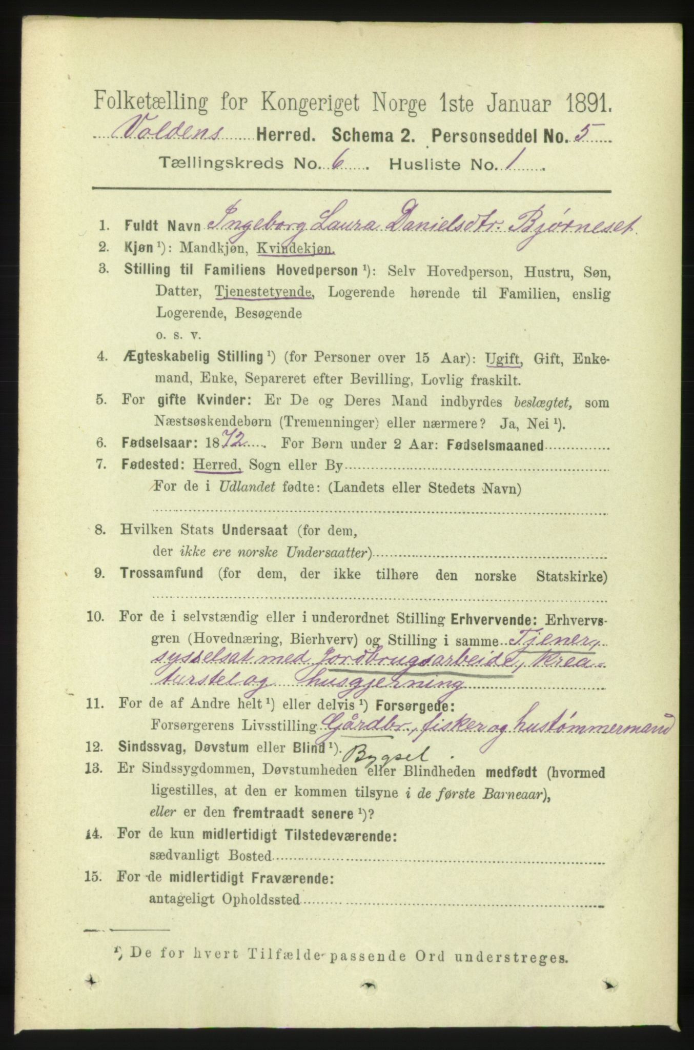 RA, 1891 census for 1519 Volda, 1891, p. 2867