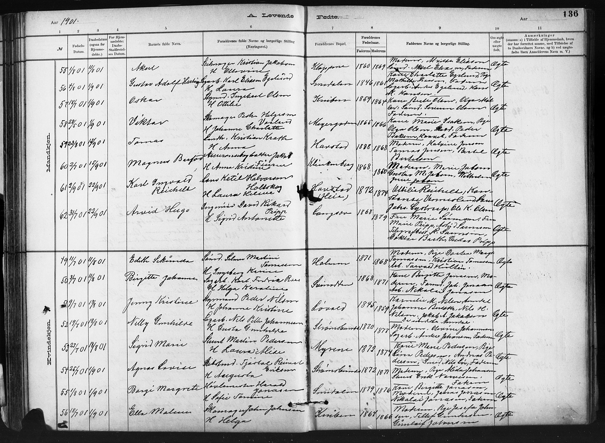 Barbu sokneprestkontor, AV/SAK-1111-0003/F/Fb/L0002: Parish register (copy) no. B 2, 1890-1922, p. 136