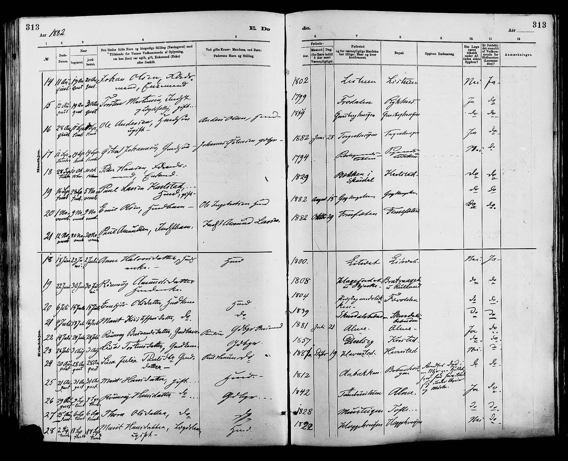 Sør-Fron prestekontor, AV/SAH-PREST-010/H/Ha/Haa/L0003: Parish register (official) no. 3, 1881-1897, p. 313