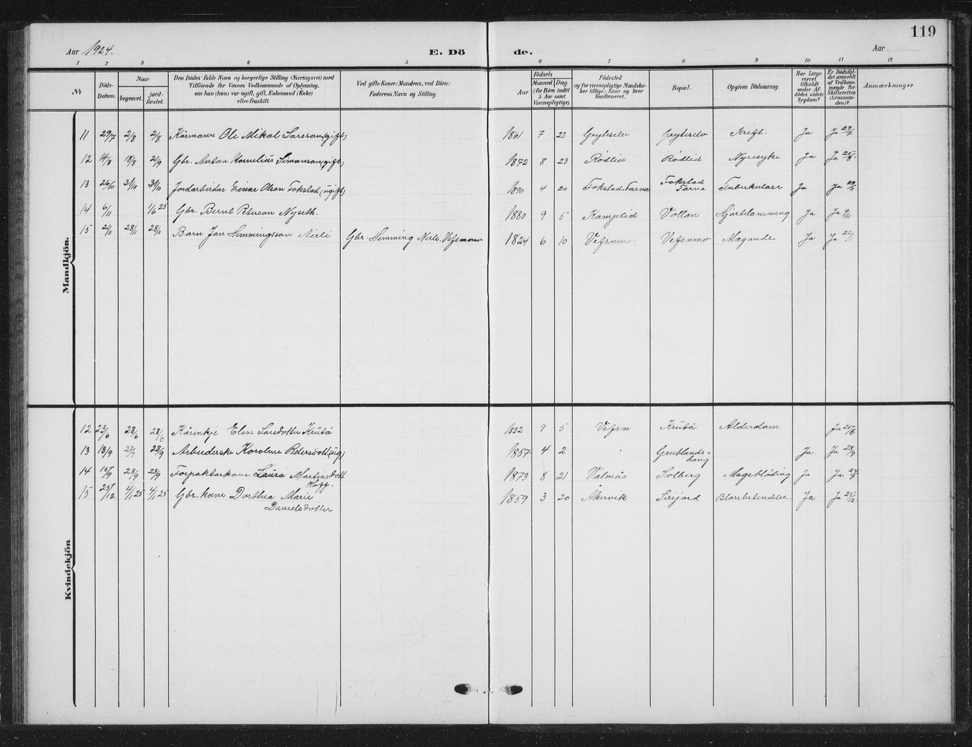 Ministerialprotokoller, klokkerbøker og fødselsregistre - Nordland, AV/SAT-A-1459/823/L0331: Parish register (copy) no. 823C03, 1905-1934, p. 119