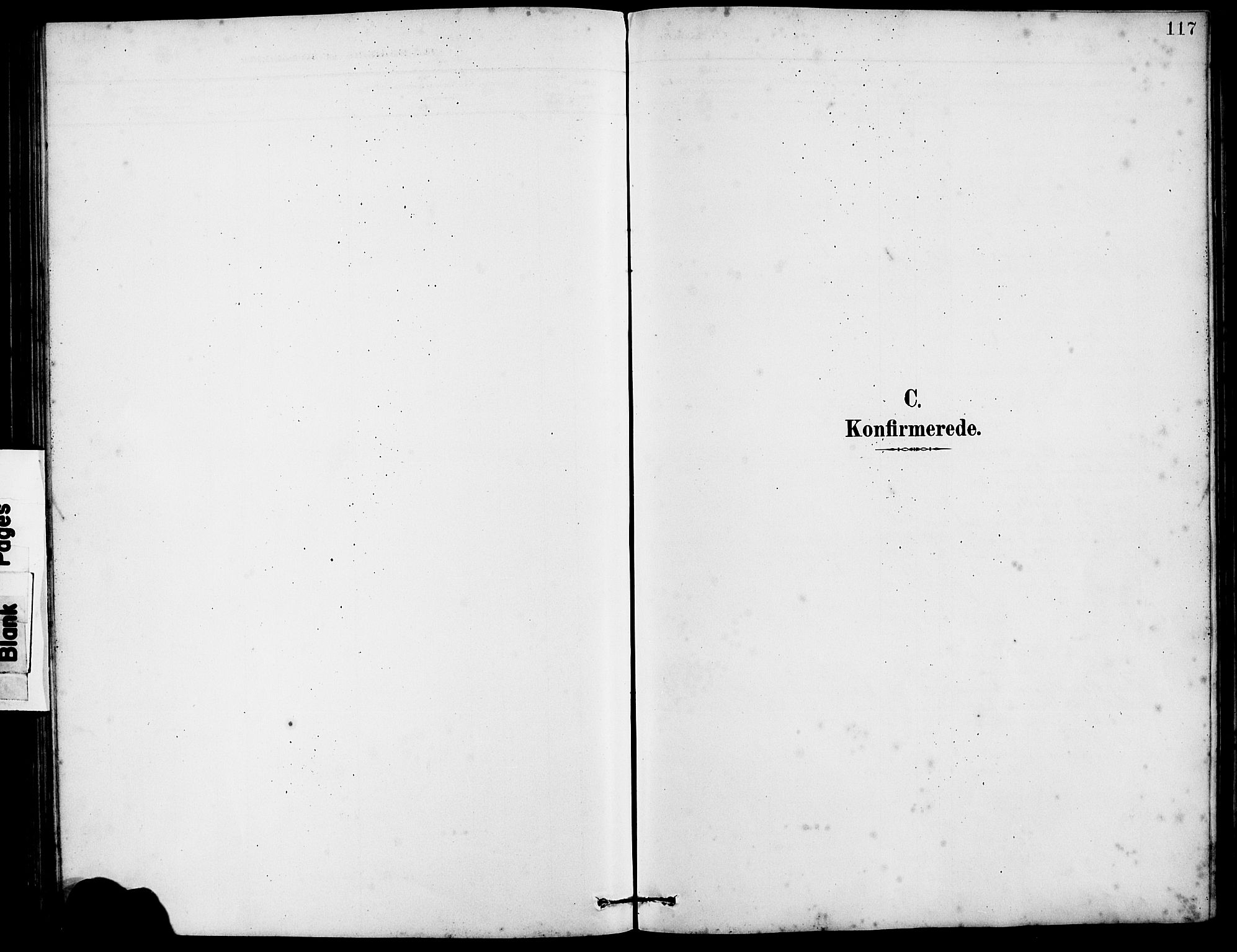 Arna Sokneprestembete, SAB/A-74001/H/Ha/Hab: Parish register (copy) no. A 3, 1887-1897, p. 117