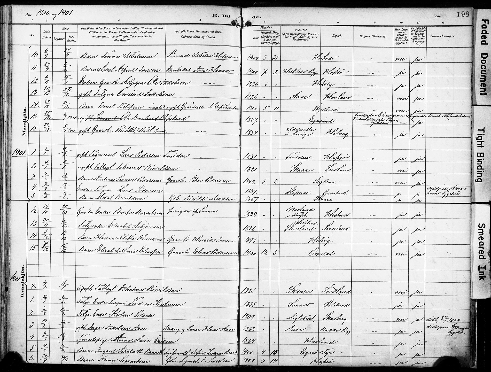 Eigersund sokneprestkontor, SAST/A-101807/S08/L0018: Parish register (official) no. A 17, 1892-1905, p. 198