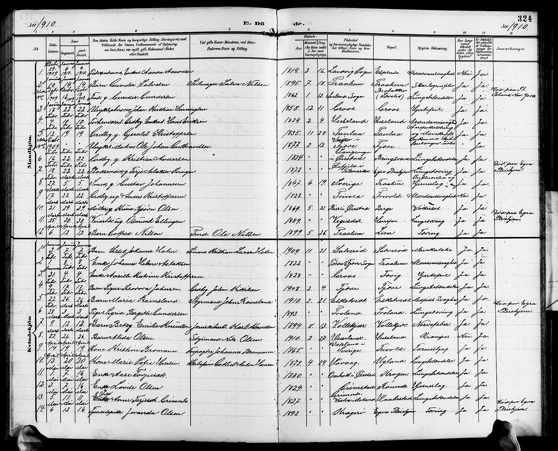Fjære sokneprestkontor, SAK/1111-0011/F/Fb/L0012: Parish register (copy) no. B 12, 1902-1925, p. 324