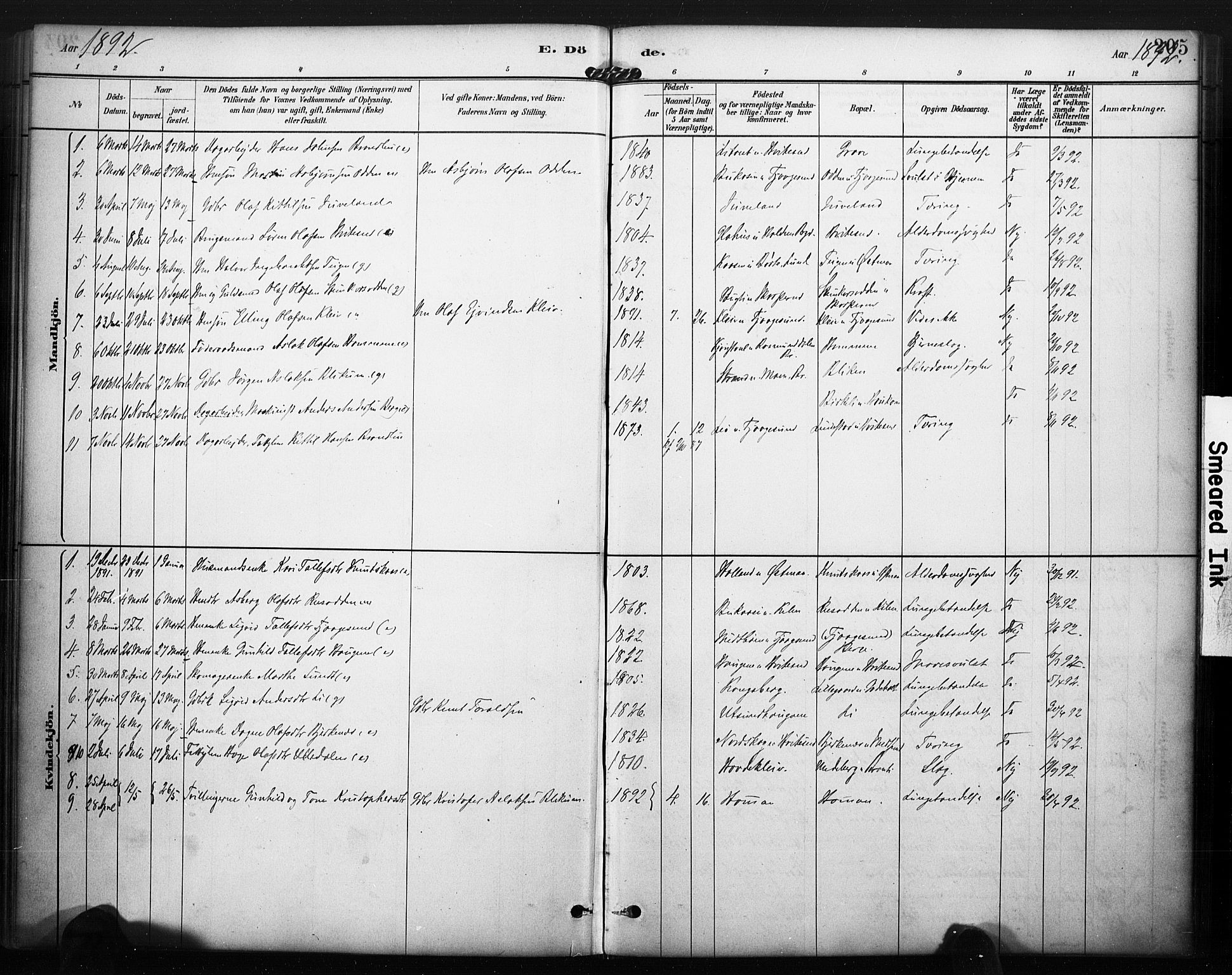 Kviteseid kirkebøker, SAKO/A-276/F/Fa/L0008: Parish register (official) no. I 8, 1882-1903, p. 205