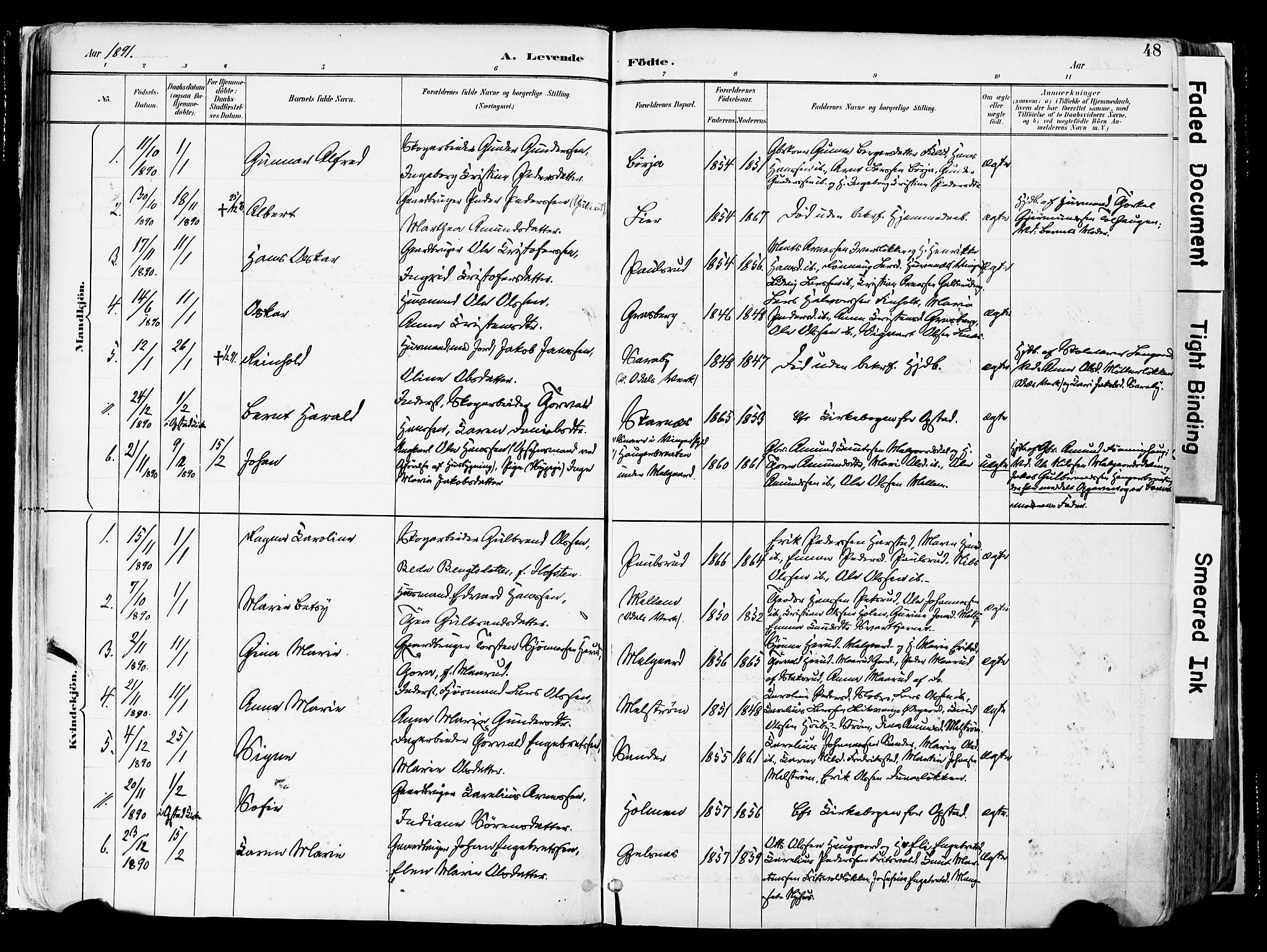 Sør-Odal prestekontor, AV/SAH-PREST-030/H/Ha/Haa/L0006: Parish register (official) no. 6, 1886-1931, p. 48