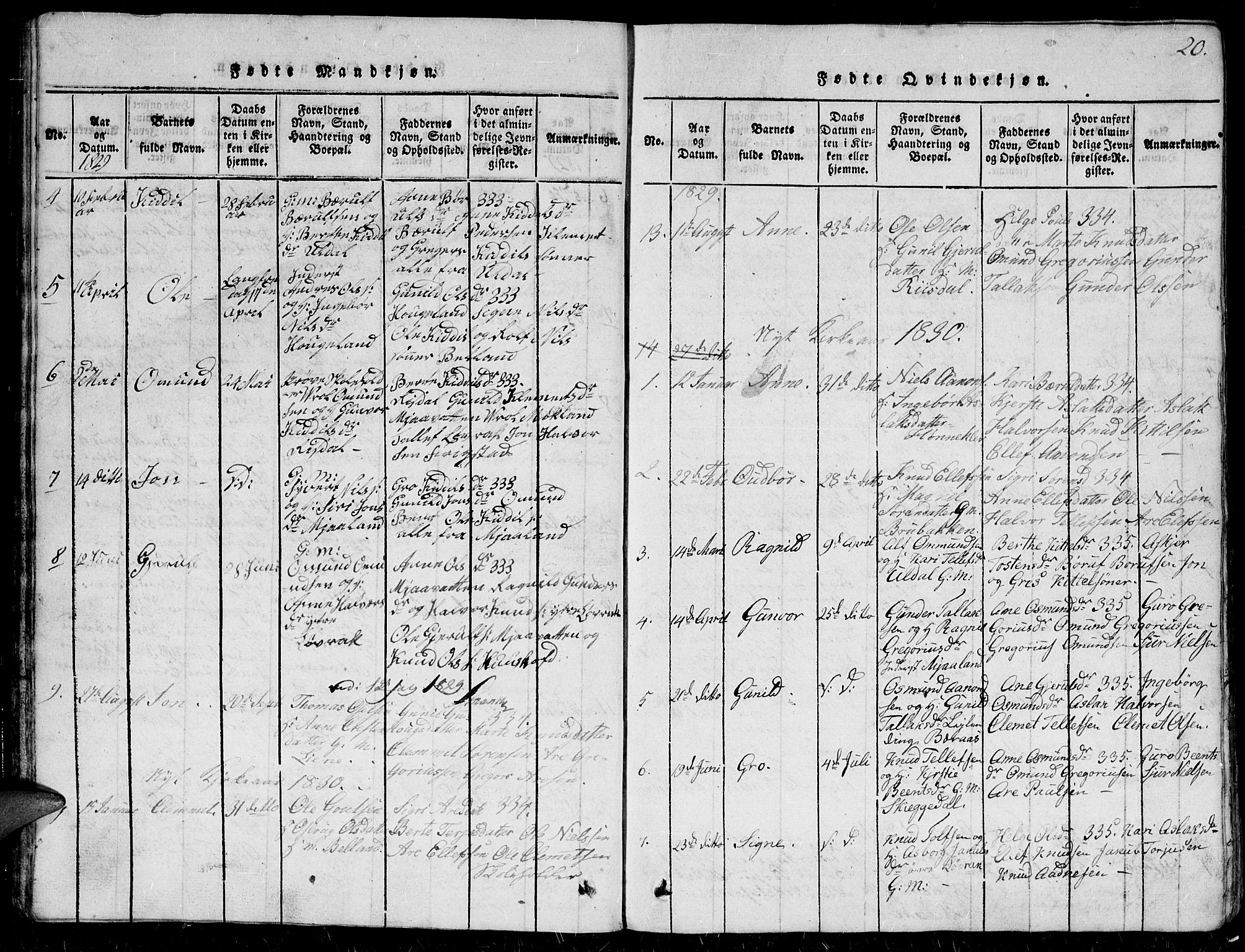 Herefoss sokneprestkontor, SAK/1111-0019/F/Fb/Fbc/L0001: Parish register (copy) no. B 1, 1816-1866, p. 20